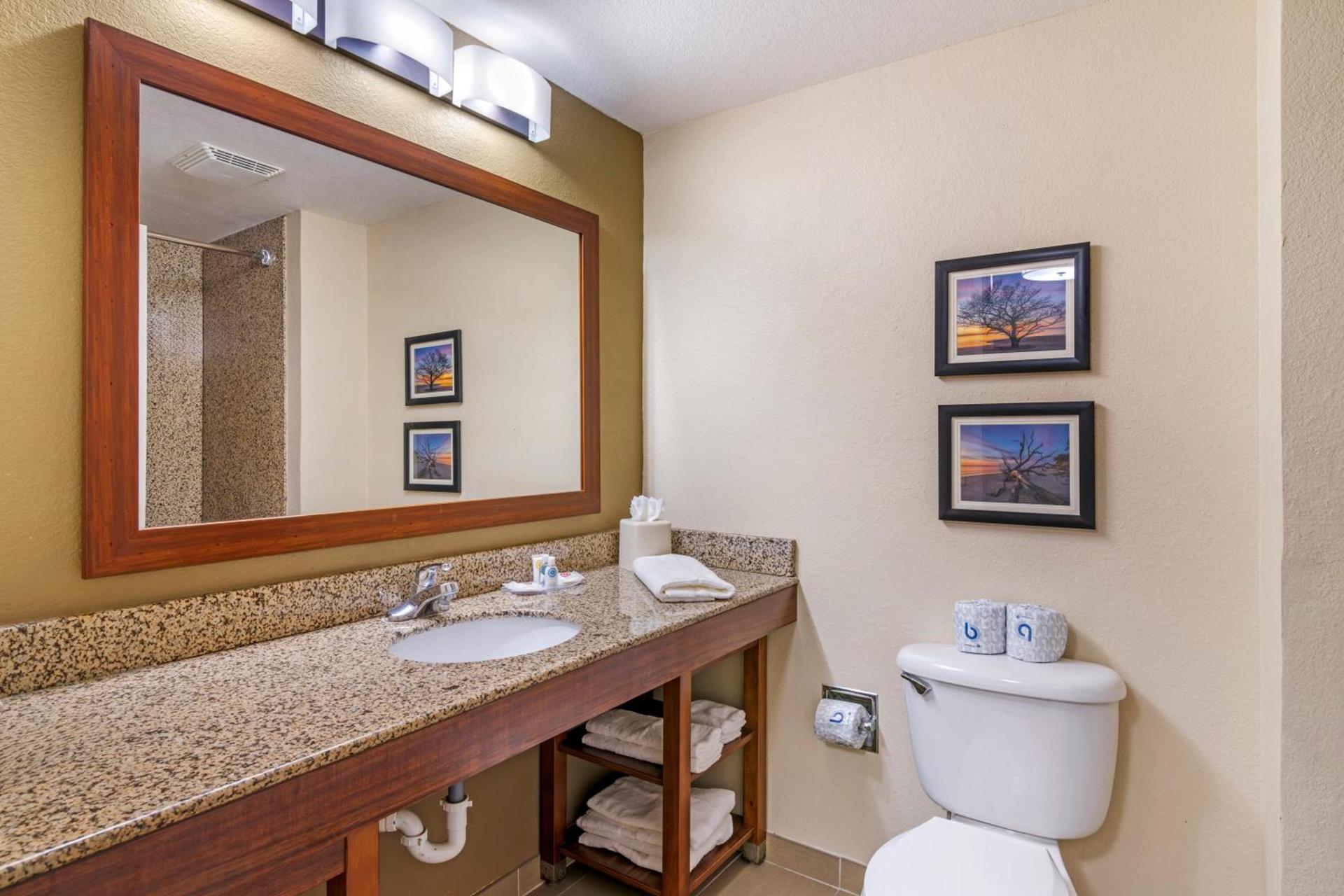 Comfort Suites Brunswick photo 26