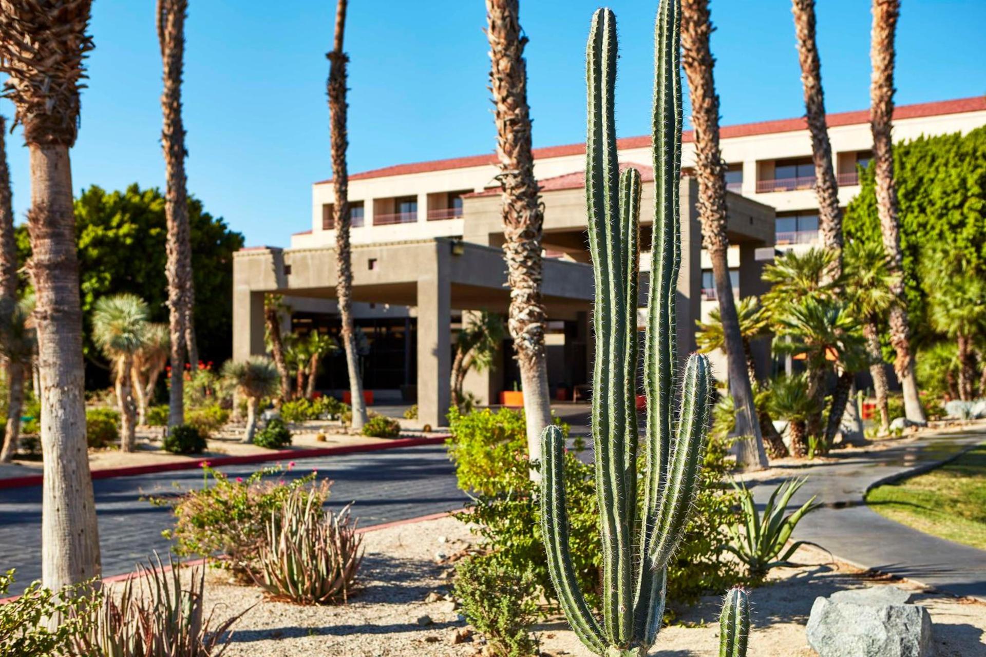 DoubleTree by Hilton Golf Resort Palm Springs photo 18