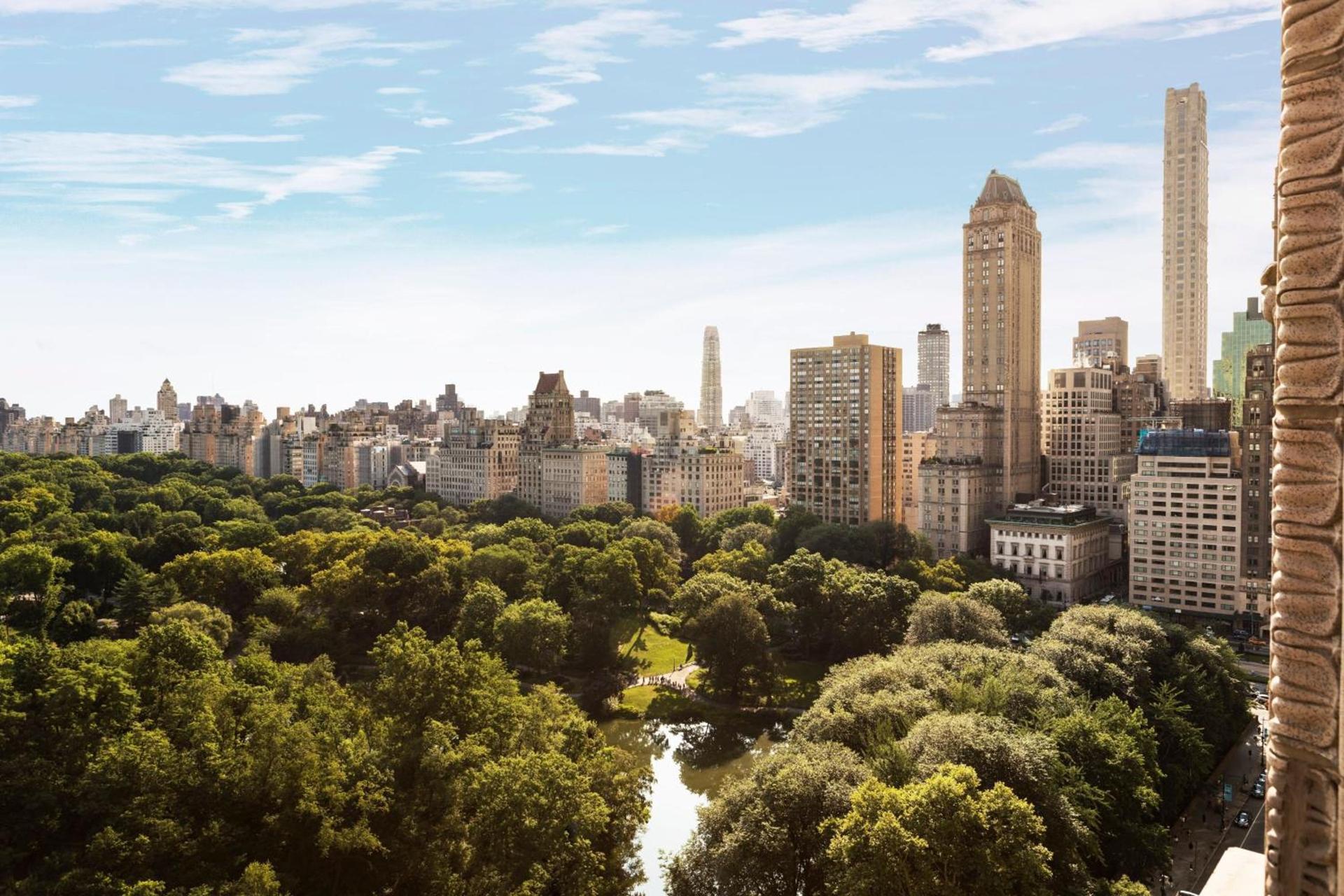The Ritz-Carlton New York, Central Park photo 38