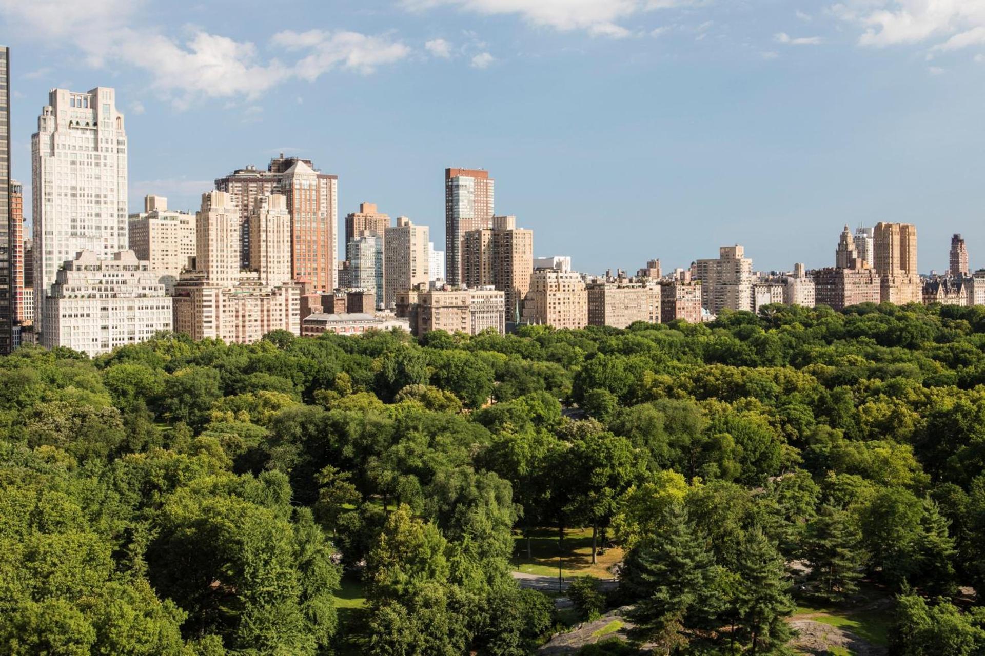 The Ritz-Carlton New York, Central Park photo 67