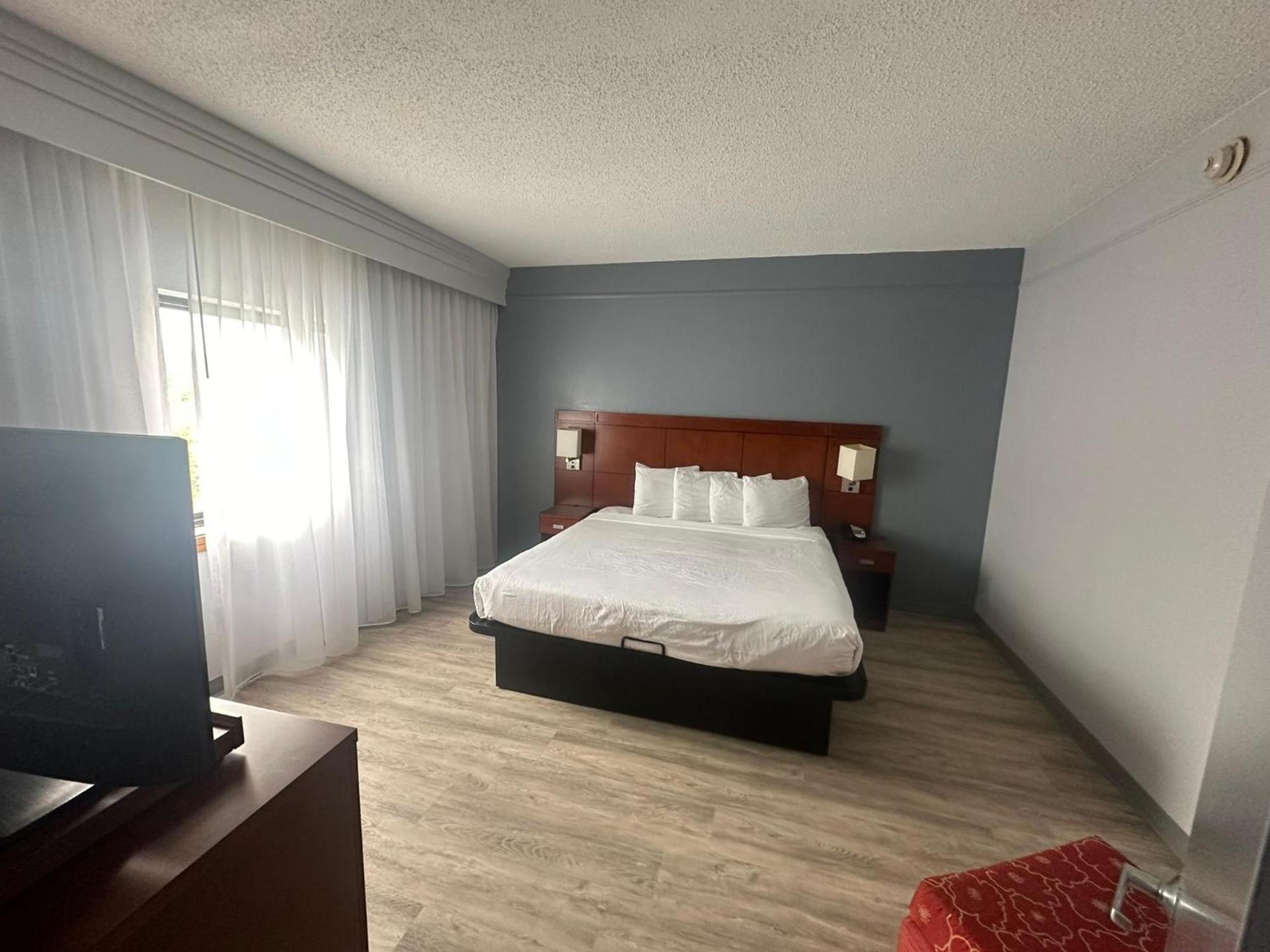 Super 8 by Wyndham Dallas Love Field Airport photo 39