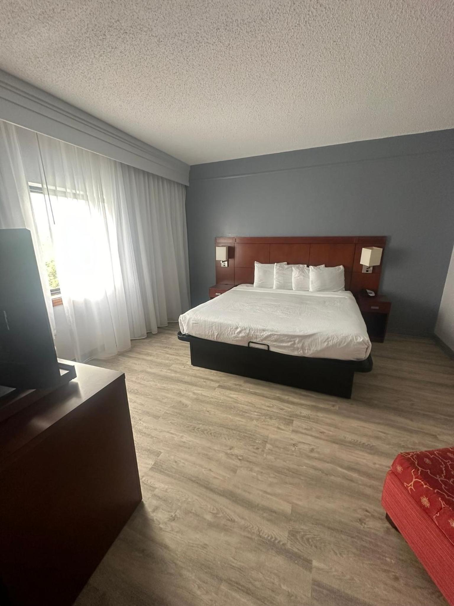 Super 8 by Wyndham Dallas Love Field Airport photo 43
