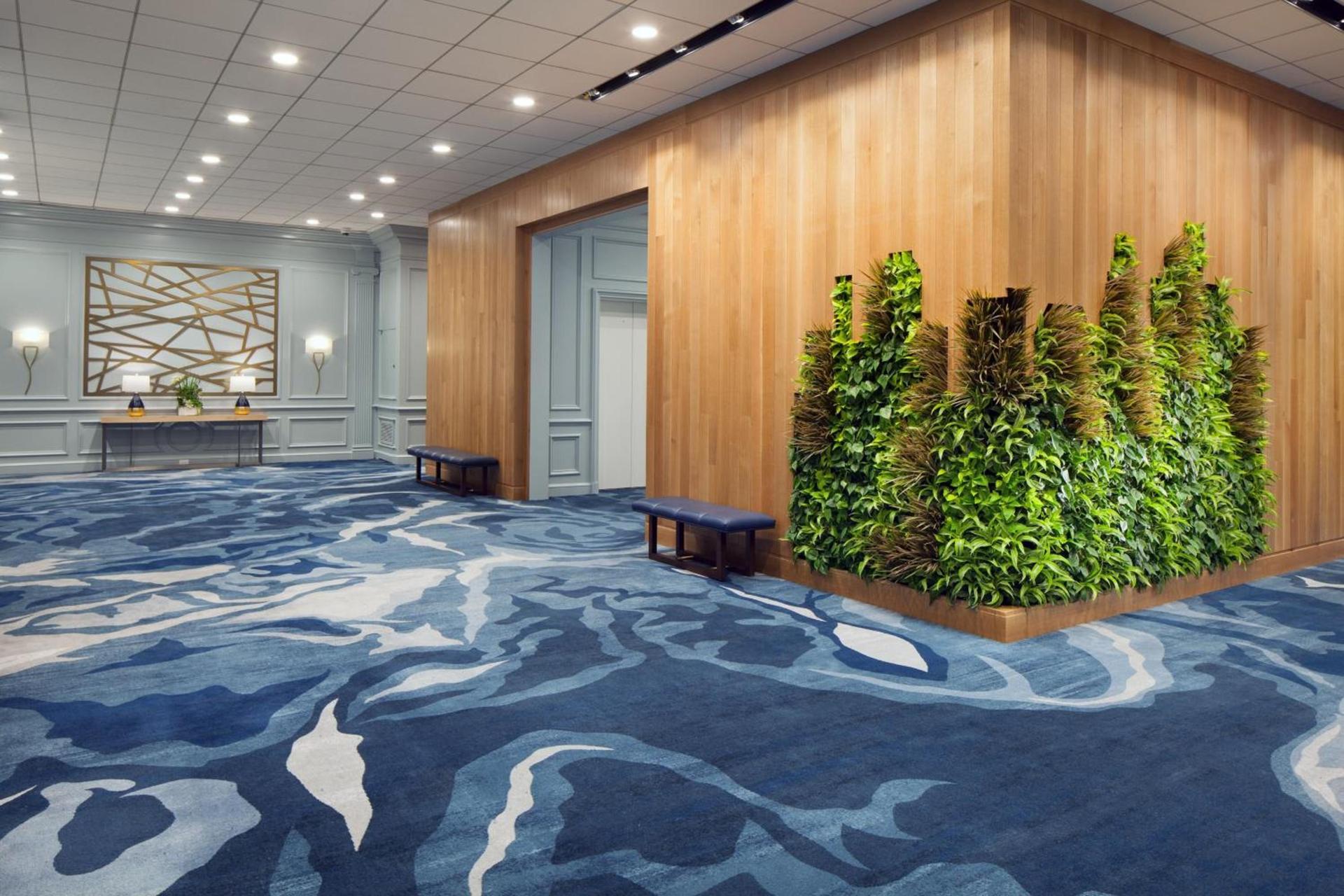The Westin Oaks Houston at the Galleria photo 13