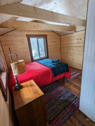 Blackburn Cabins - McCarthy, Alaska photo 38