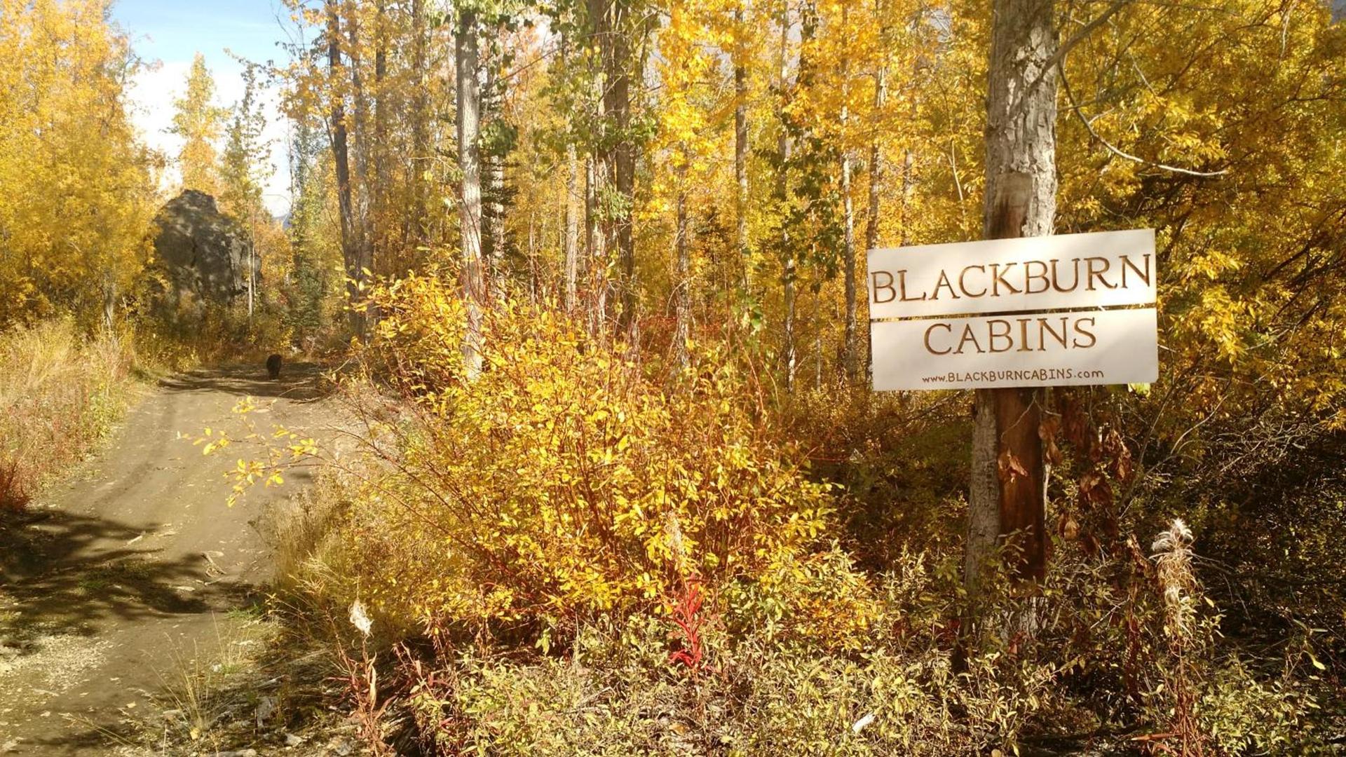 Blackburn Cabins - McCarthy, Alaska photo 44