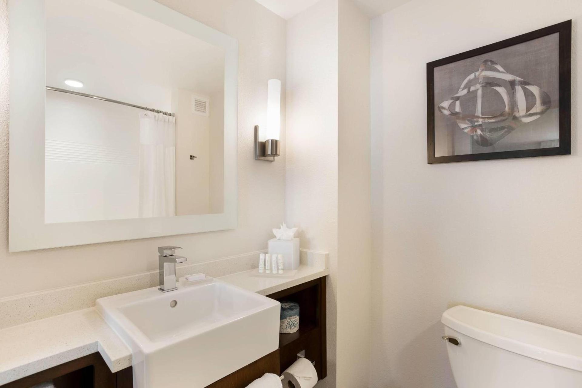 TownePlace Suites by Marriott San Mateo Foster City photo 19