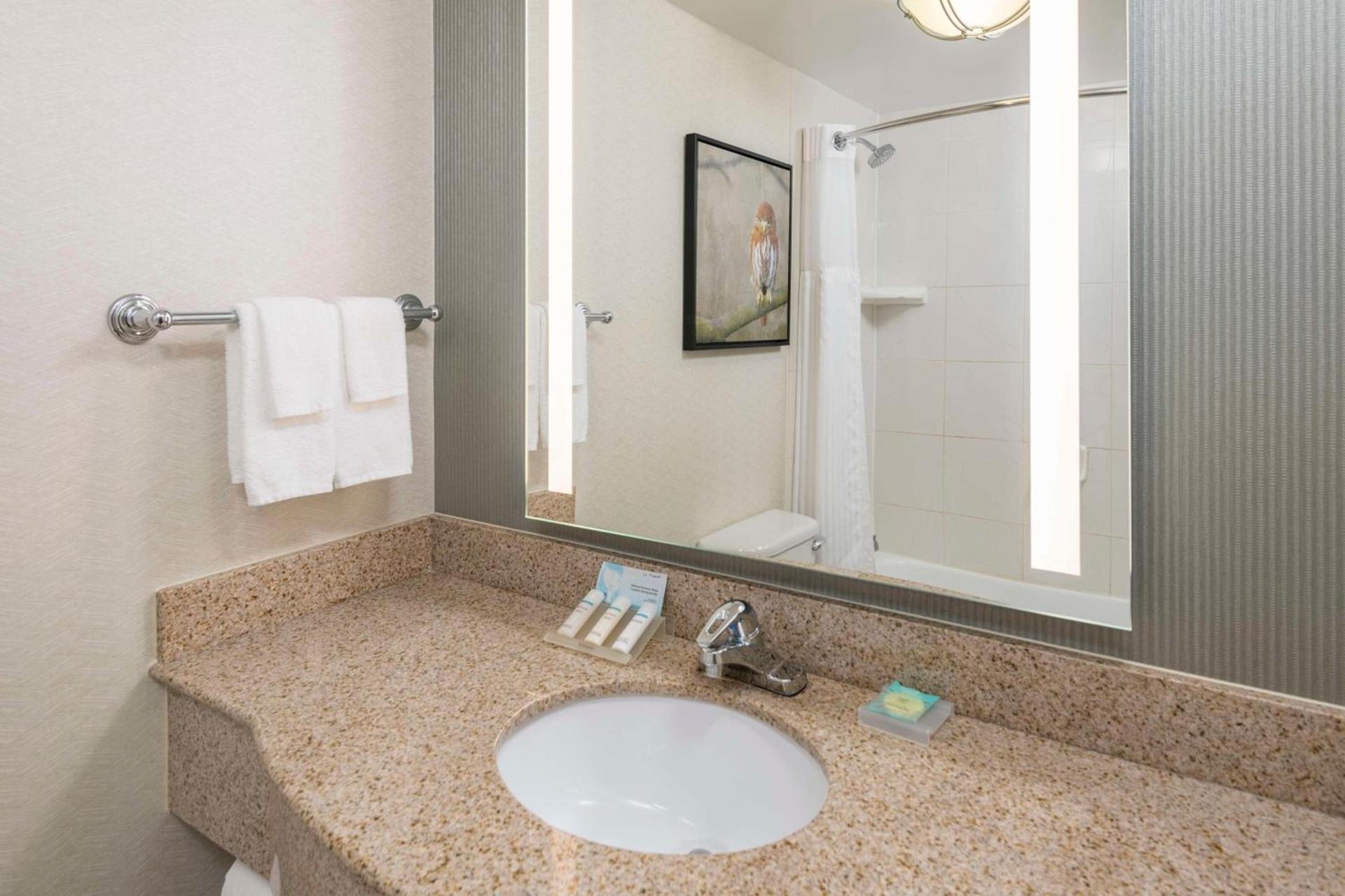 Hilton Garden Inn Scottsdale North/Perimeter Center photo 17