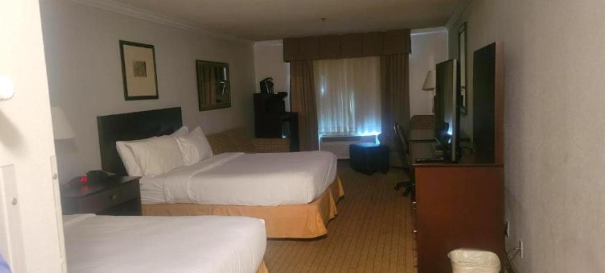 The Arc Hotel photo 2