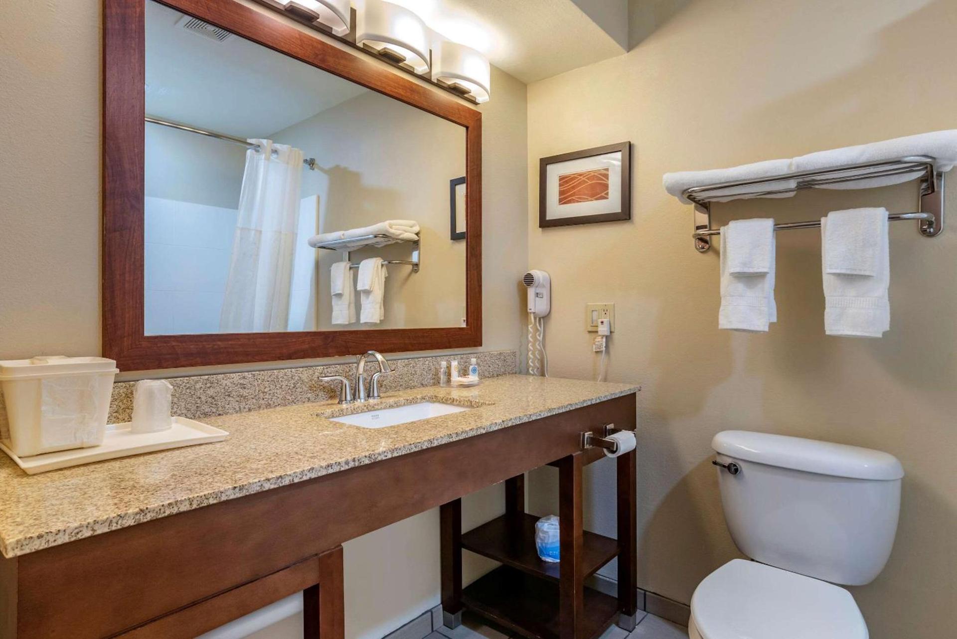 Comfort Inn Amite City photo 9