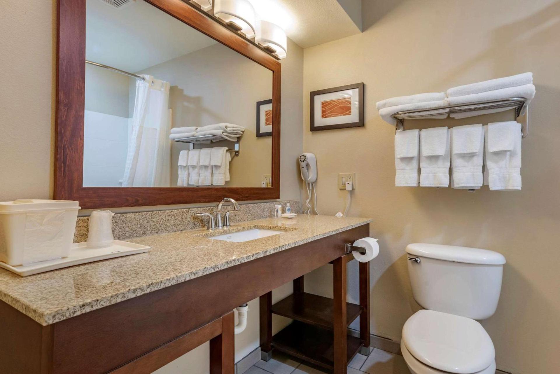 Comfort Inn Amite City photo 13