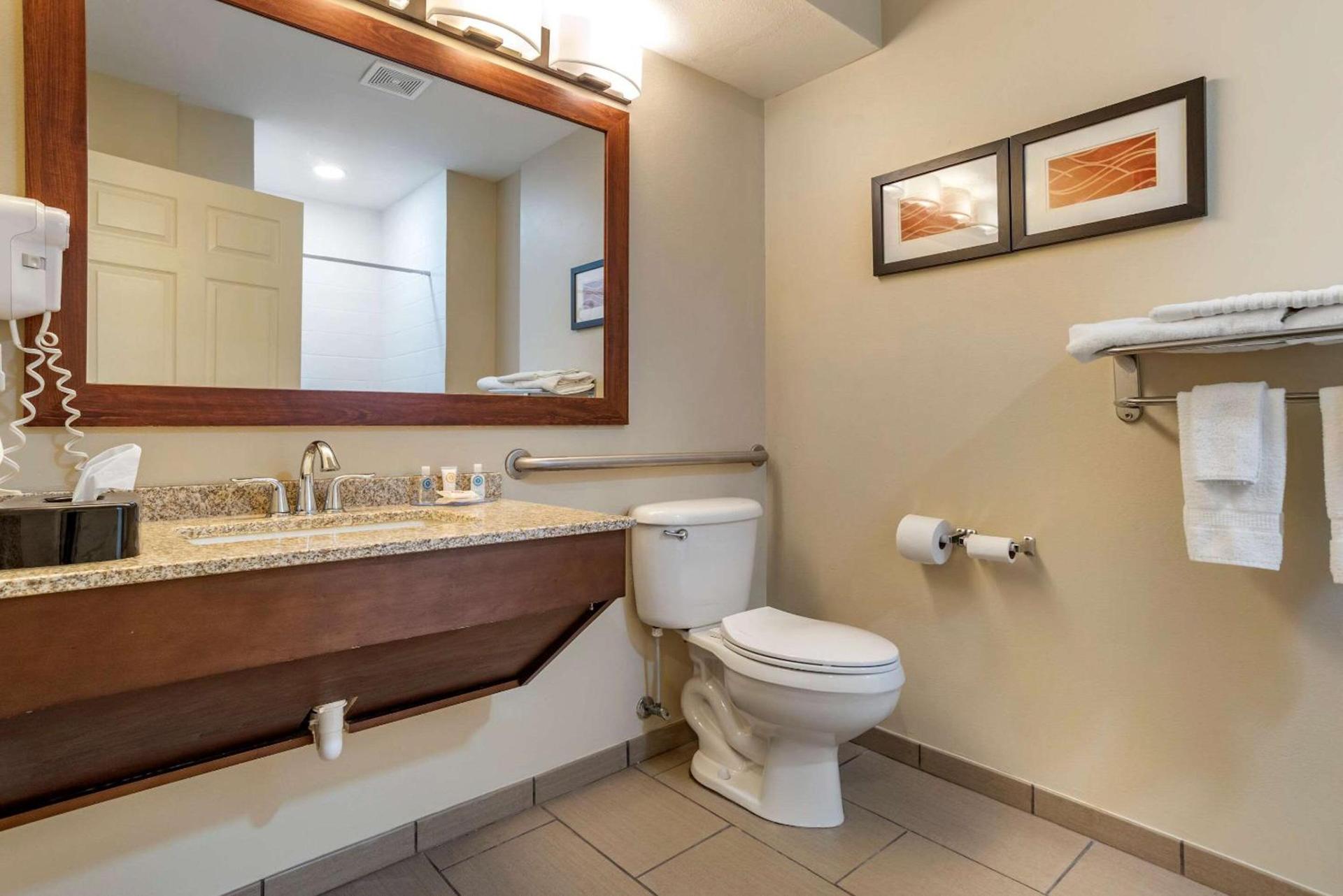 Comfort Inn Amite City photo 15