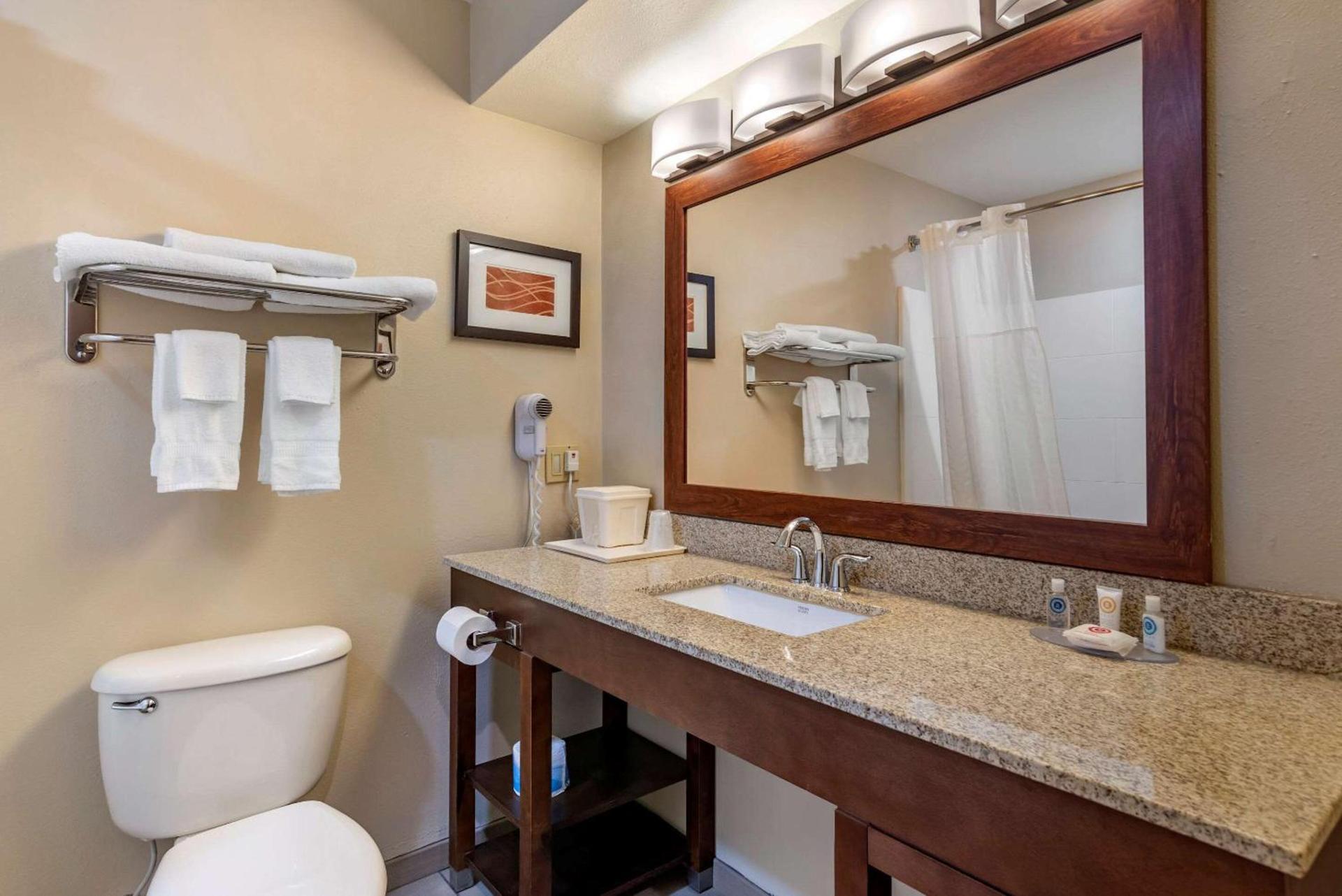 Comfort Inn Amite City photo 19
