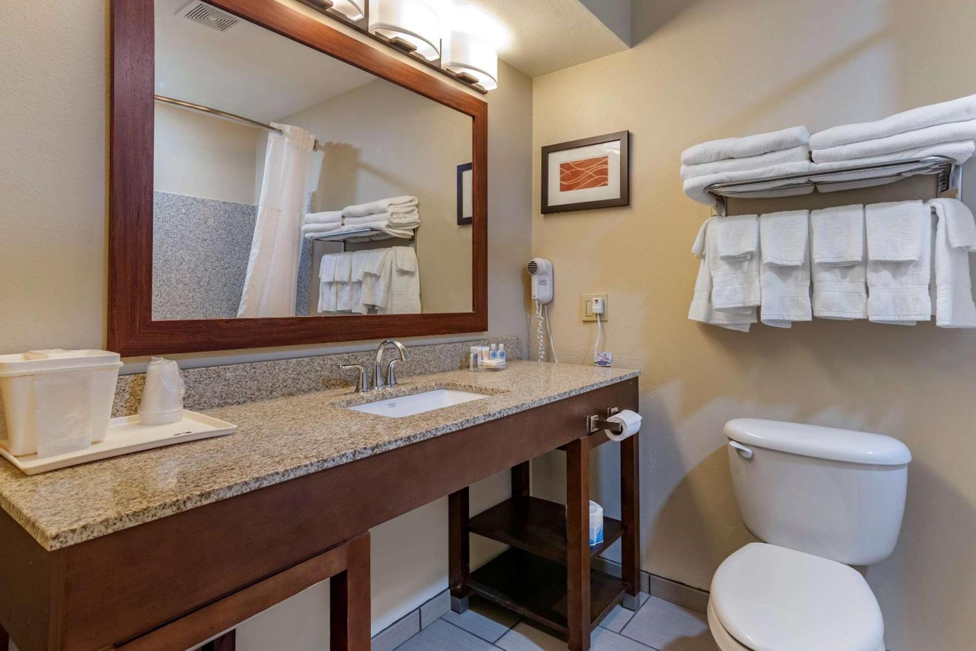 Comfort Inn Amite City photo 25