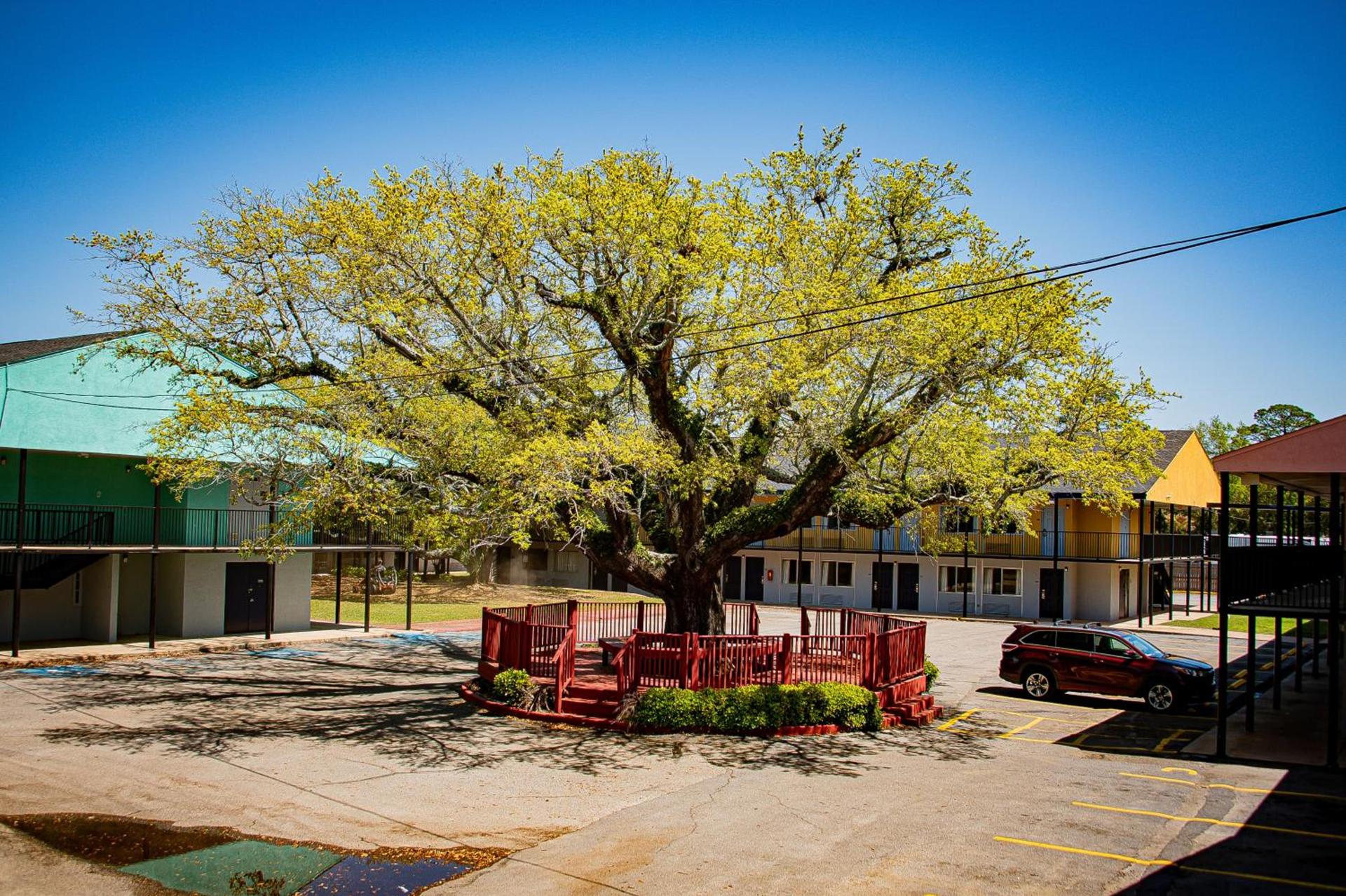 Super 8 by Wyndham Biloxi at the Beach photo 44