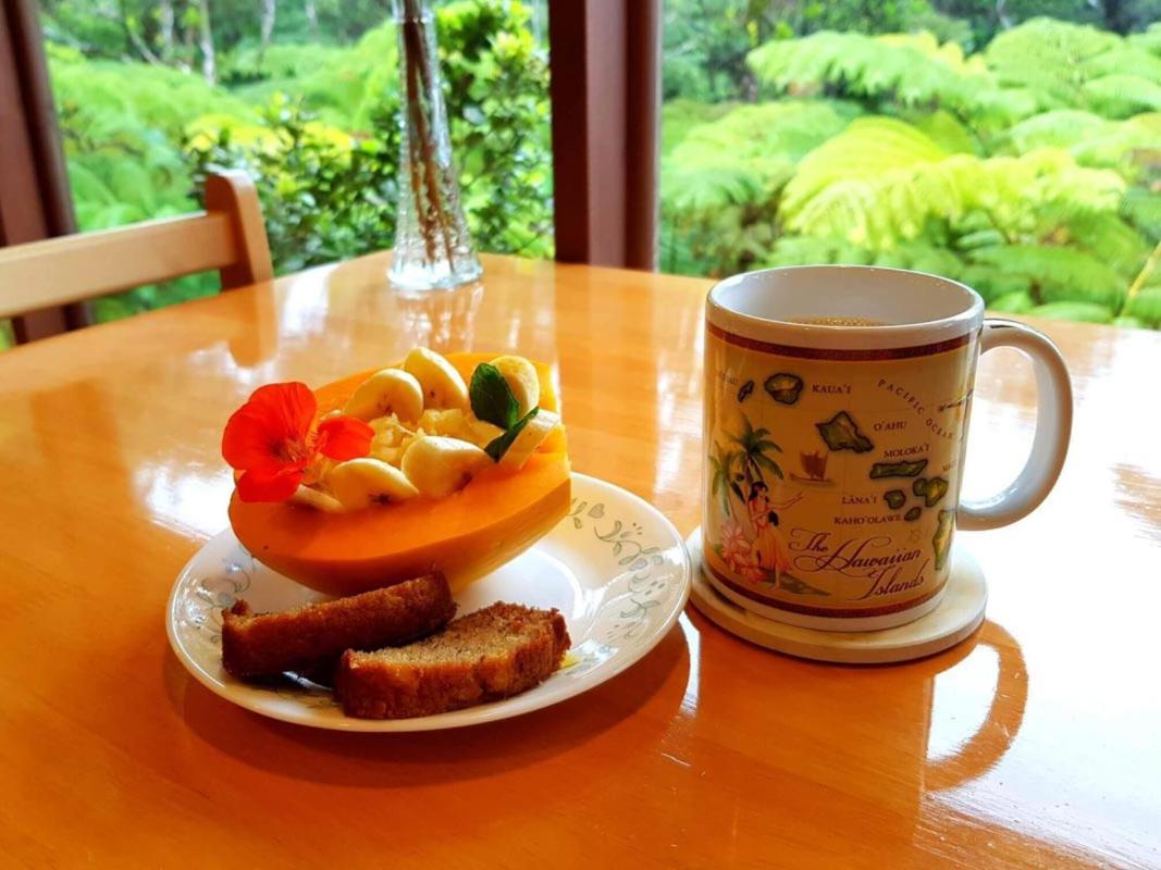 Volcano Inn Bed n Breakfast photo 43