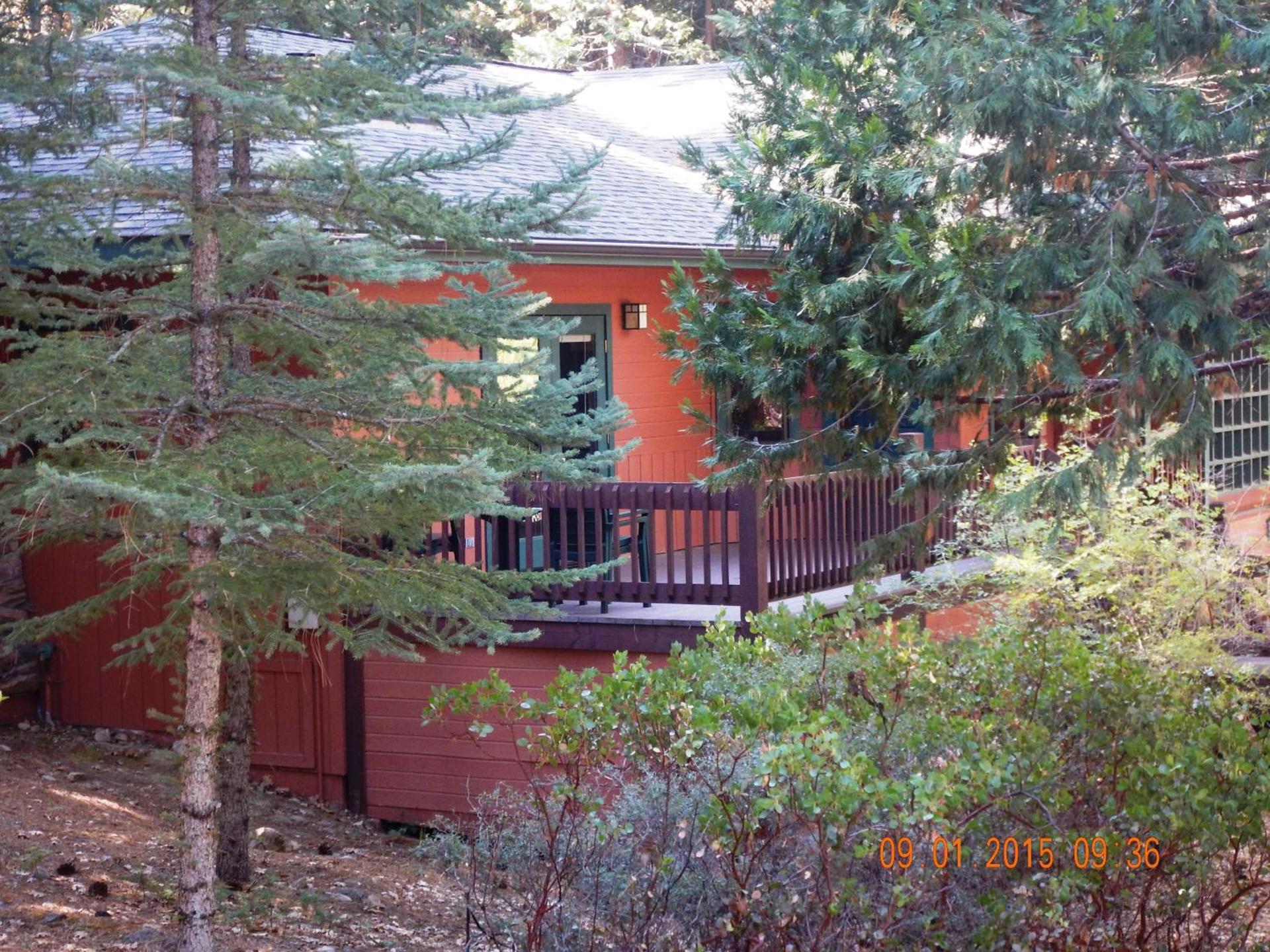 Mount Shasta Resort photo 56
