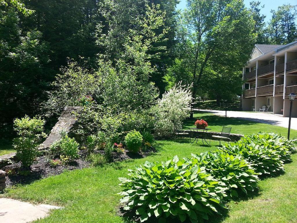 Misty Harbor Resort photo 22