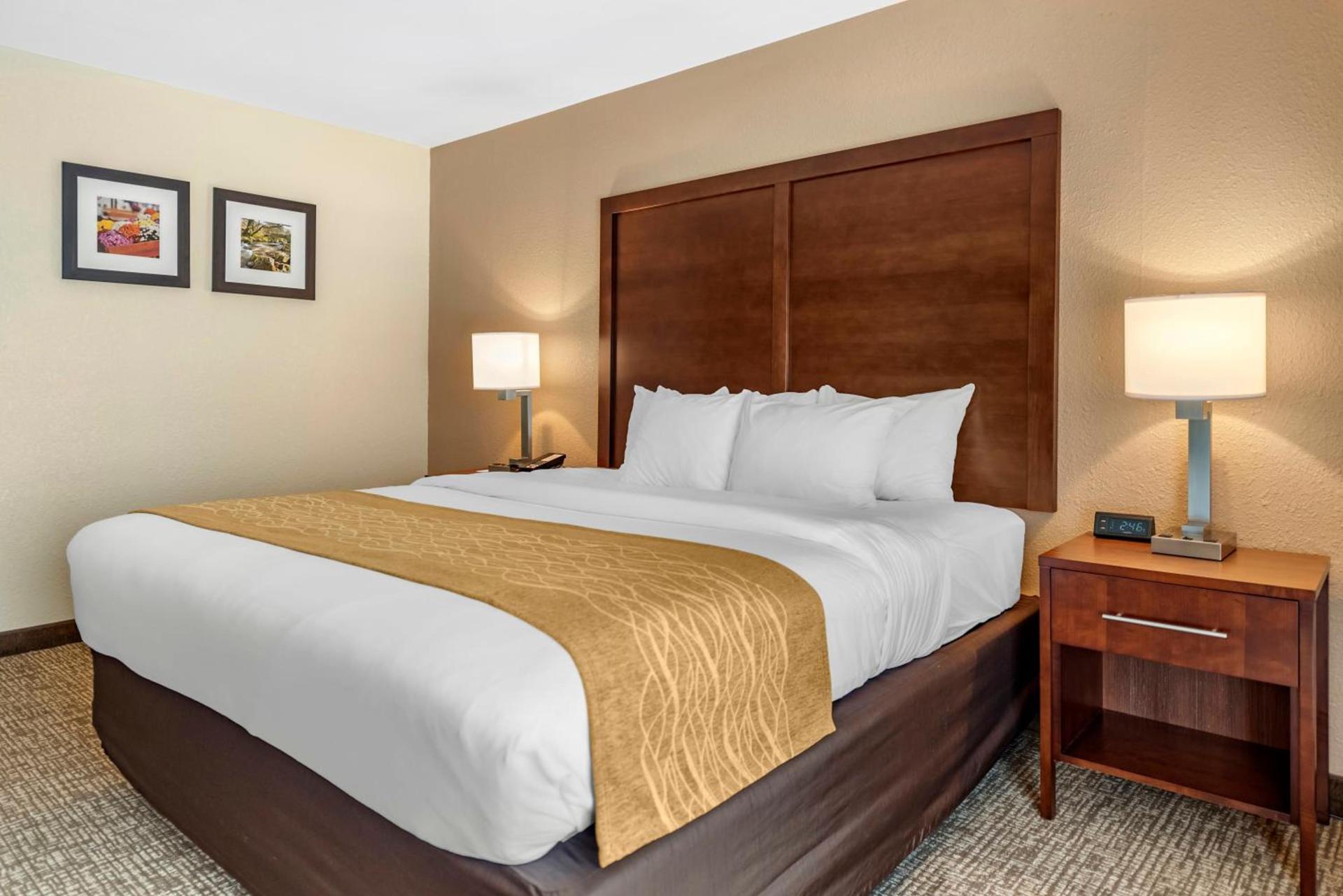Comfort Inn Lafayette I-65 photo 20