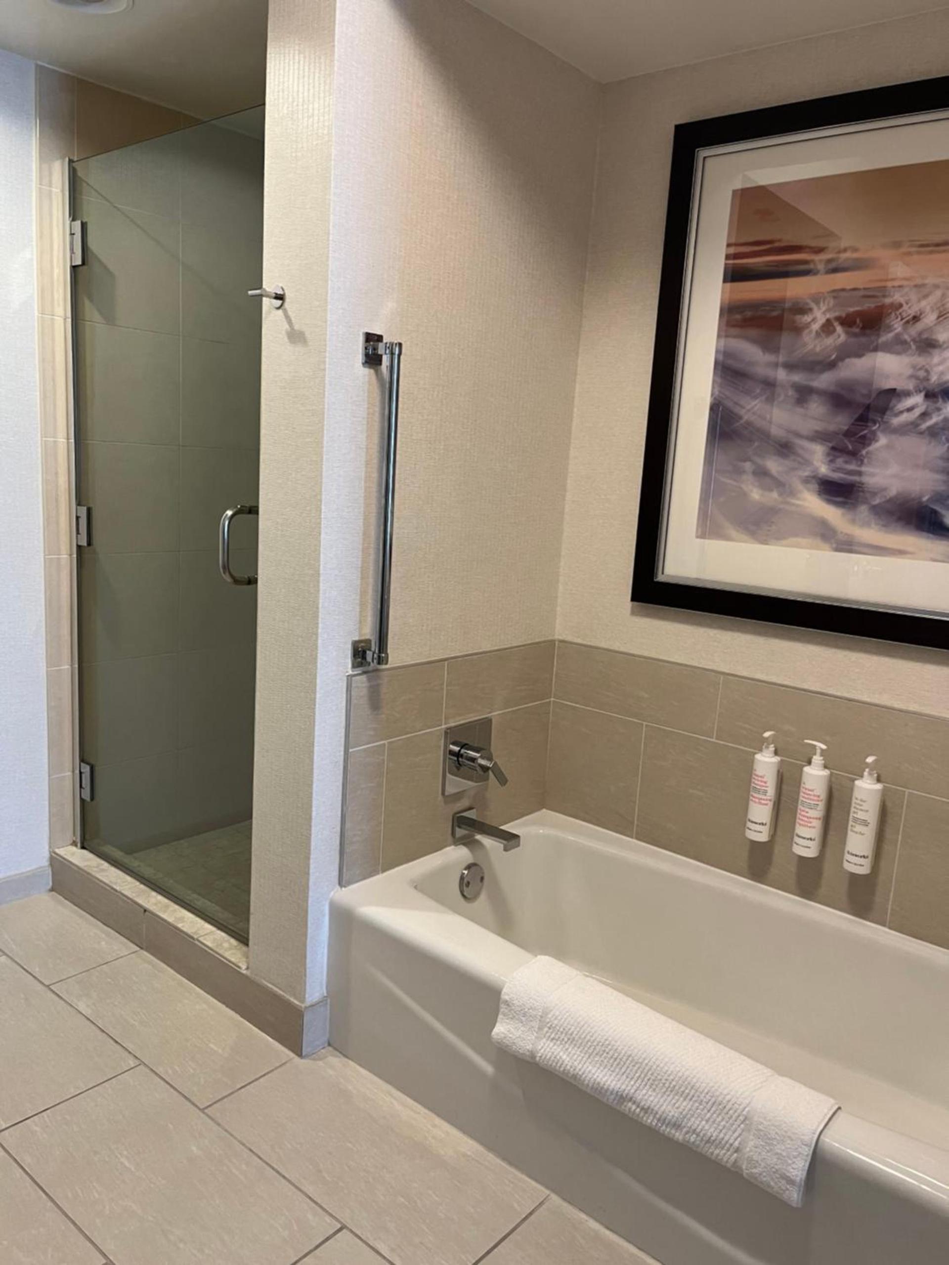 Chicago Marriott Suites O'Hare photo 18