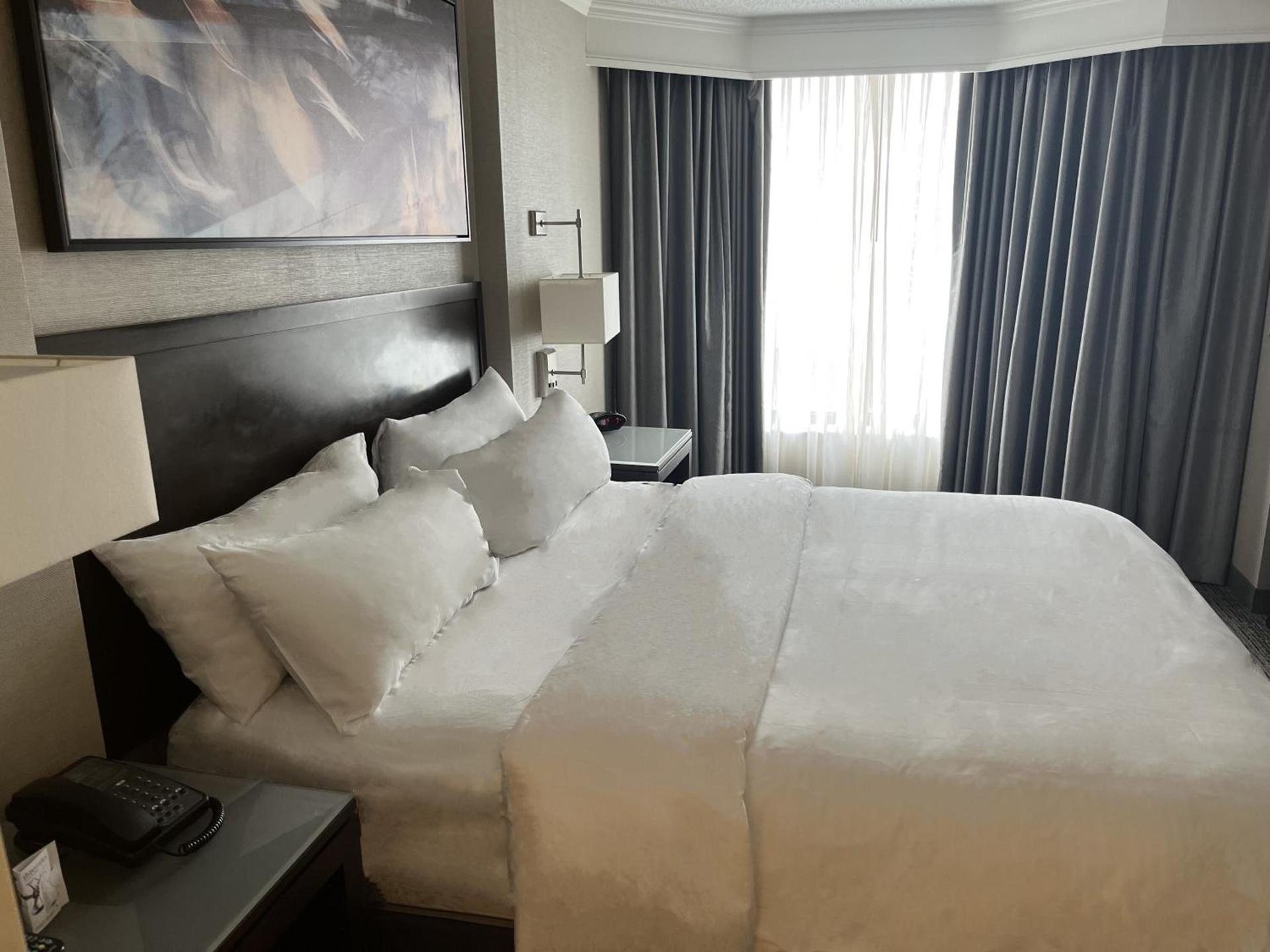 Chicago Marriott Suites O'Hare photo 22
