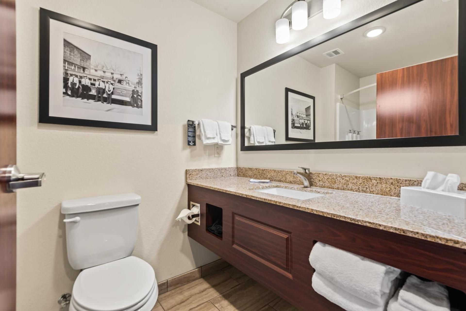 Cobblestone Hotel & Suites - Cullman photo 65