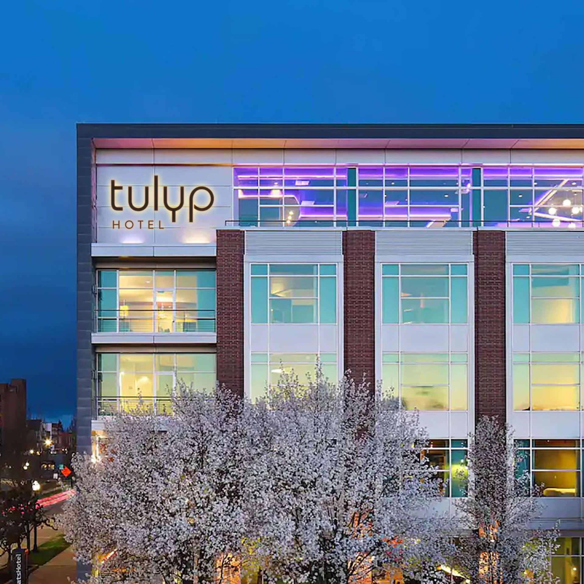 Tulyp, Tapestry Collection by Hilton photo 1