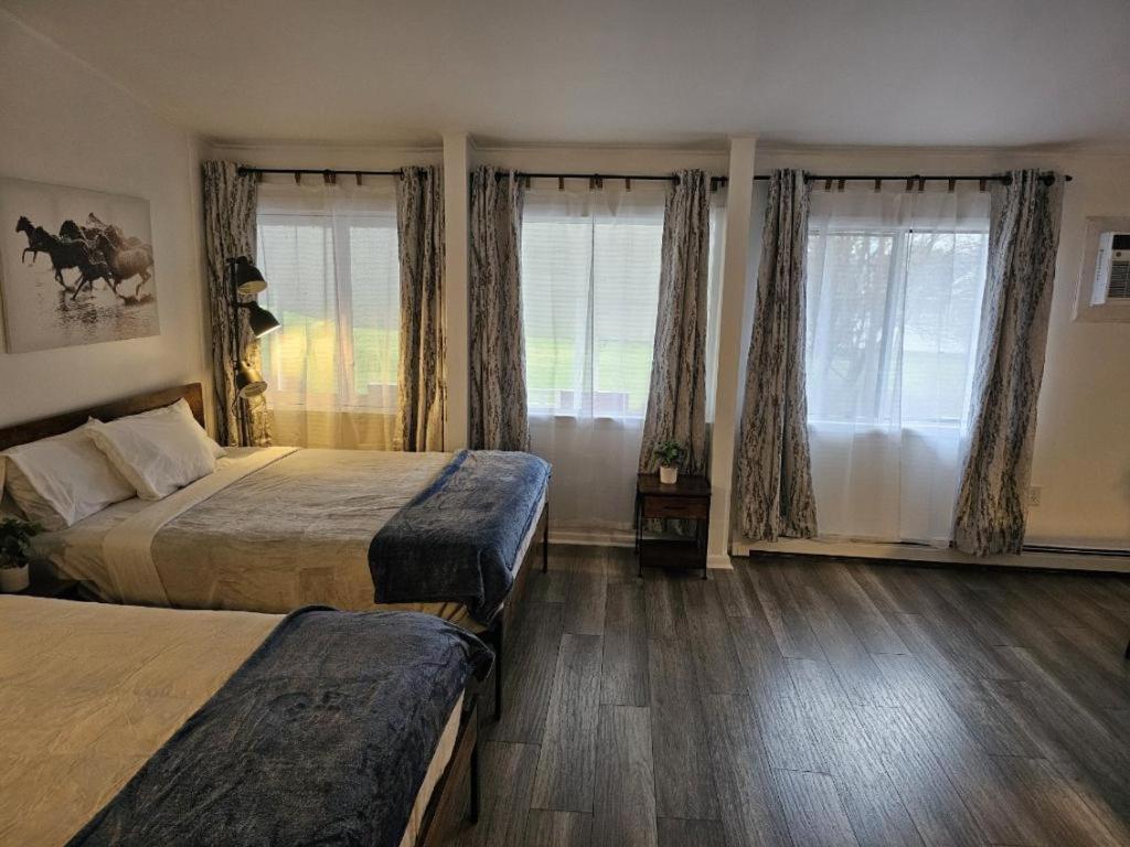 Sussex Motel photo 54