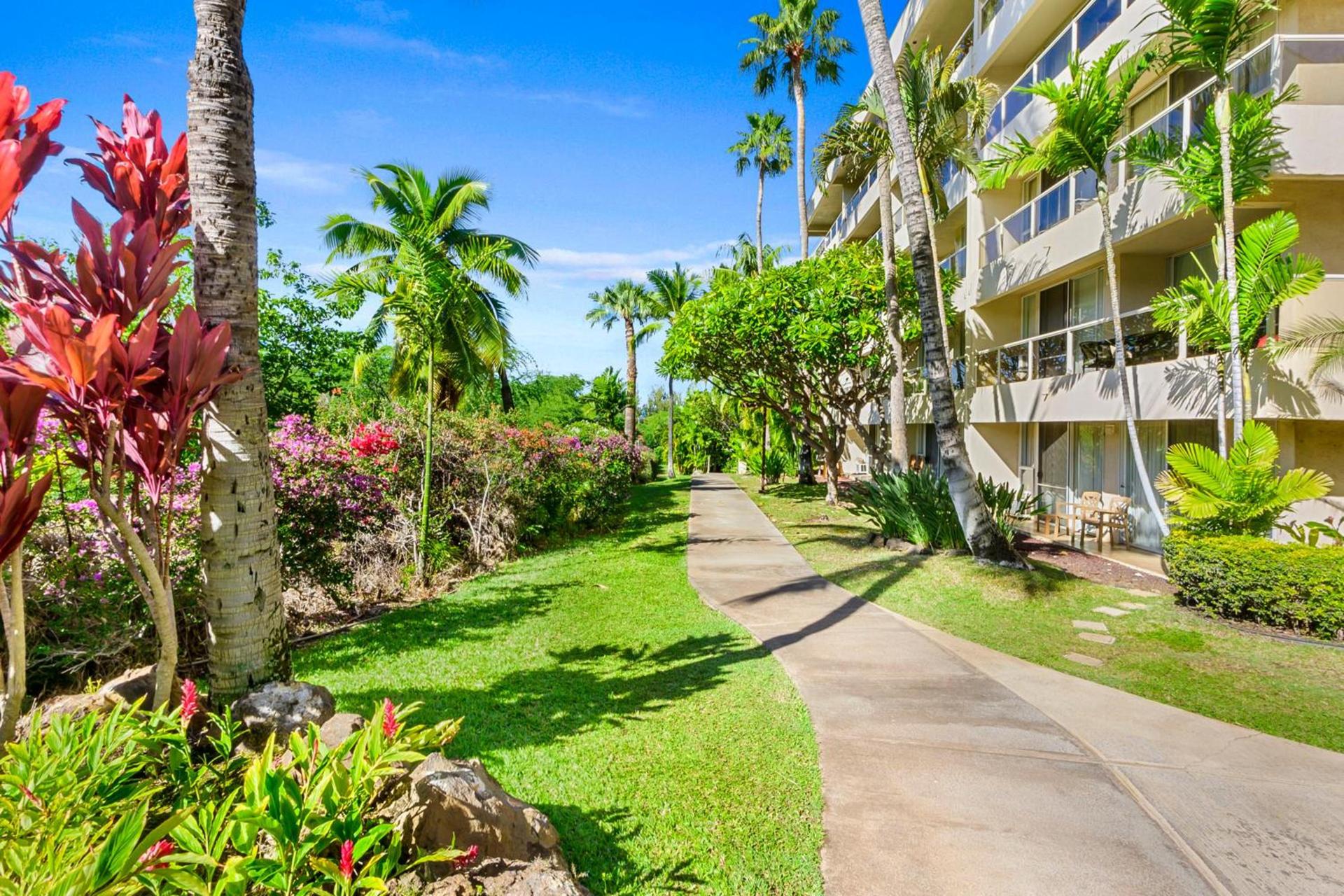 Maui Banyan Vacation Club photo 7