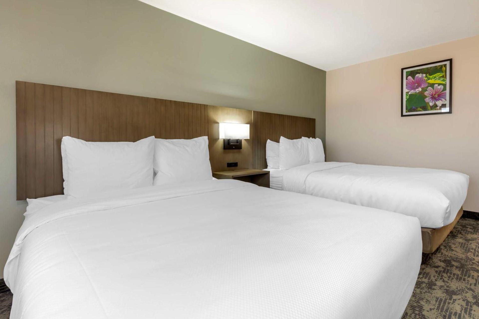 Best Western North Side Inn photo 12