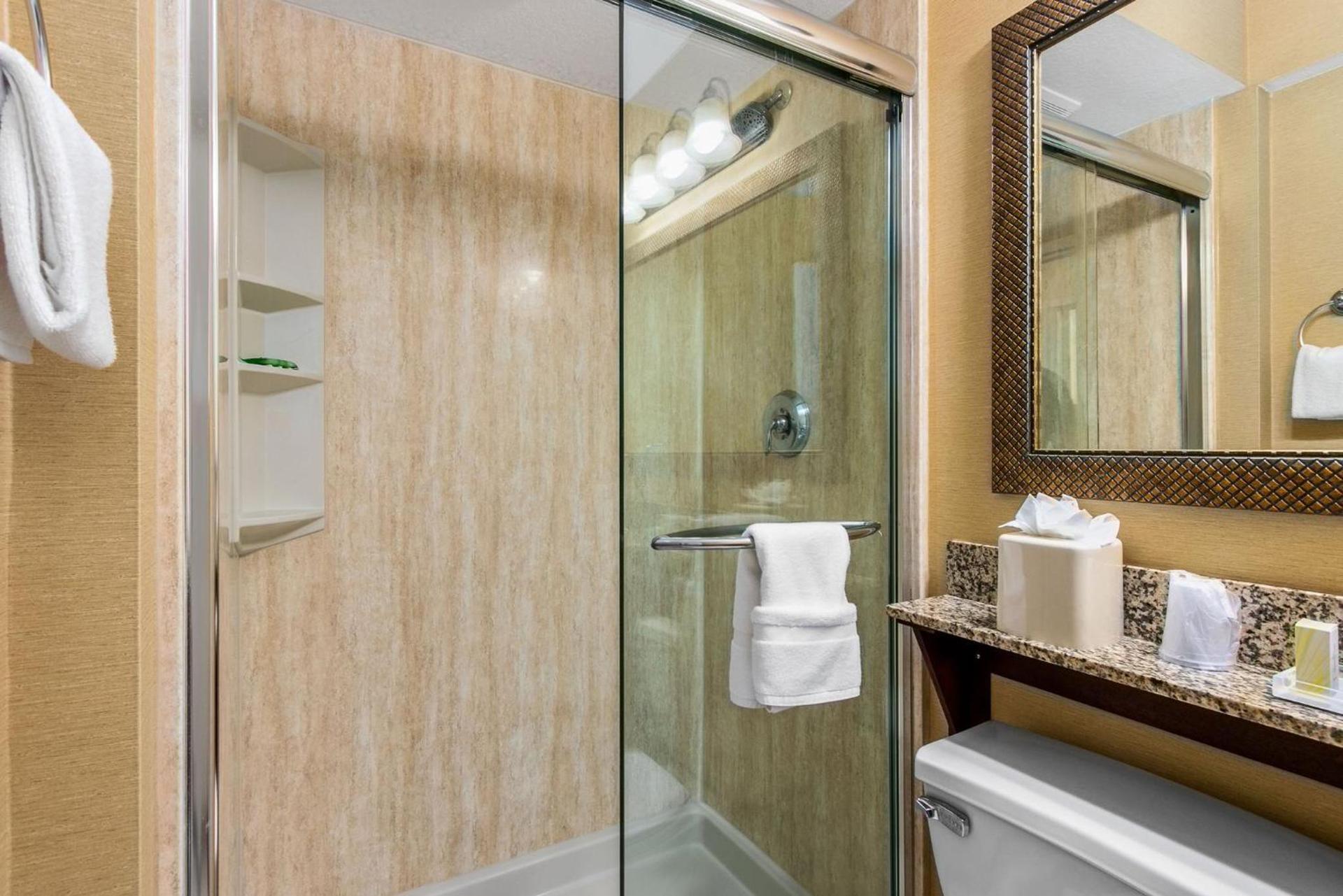 Holiday Inn & Suites Clearwater Beach by IHG photo 67