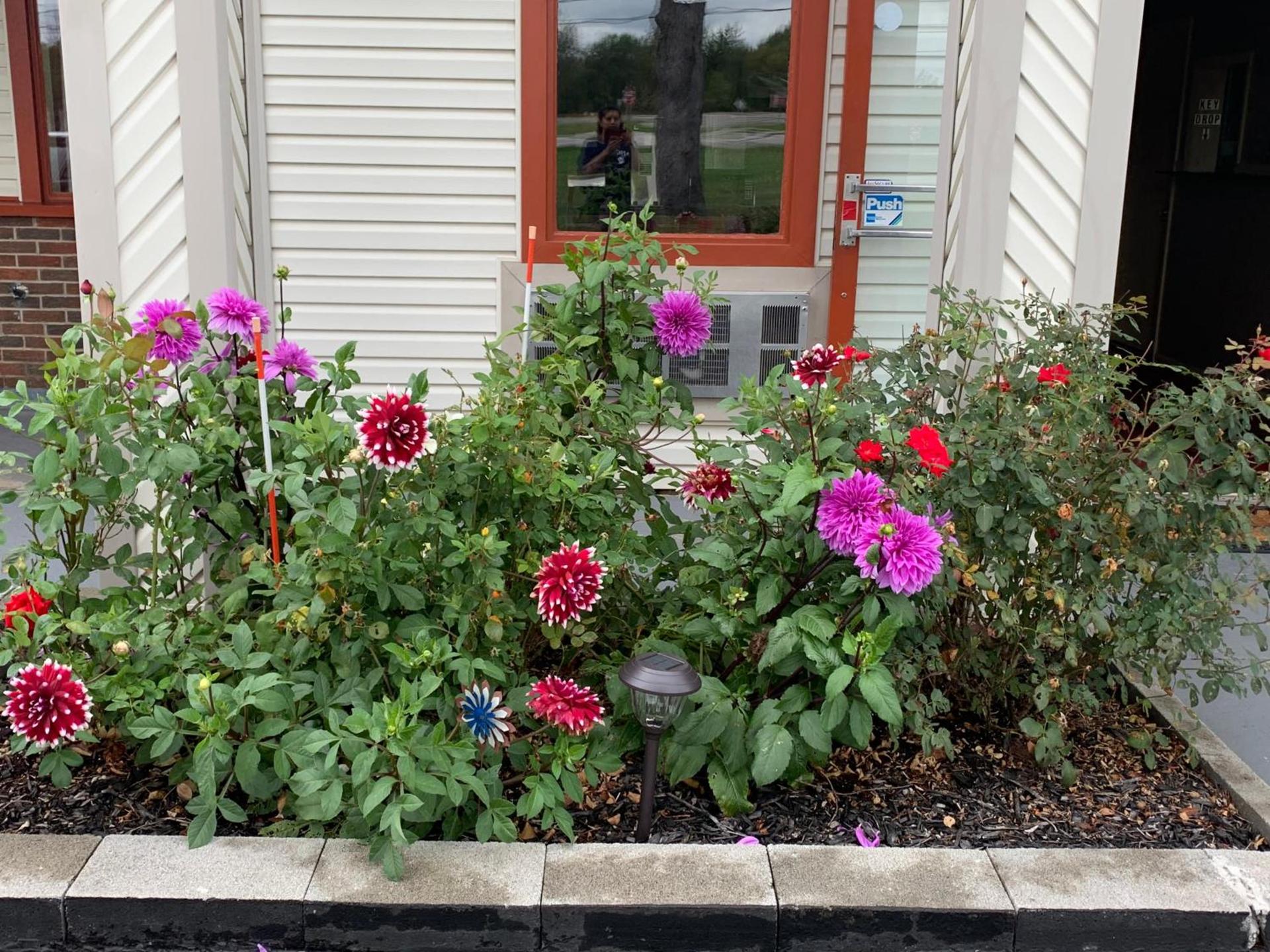 FALLS INN photo 24