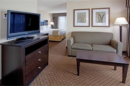 Holiday Inn Express and Suites Newberry by IHG photo 3