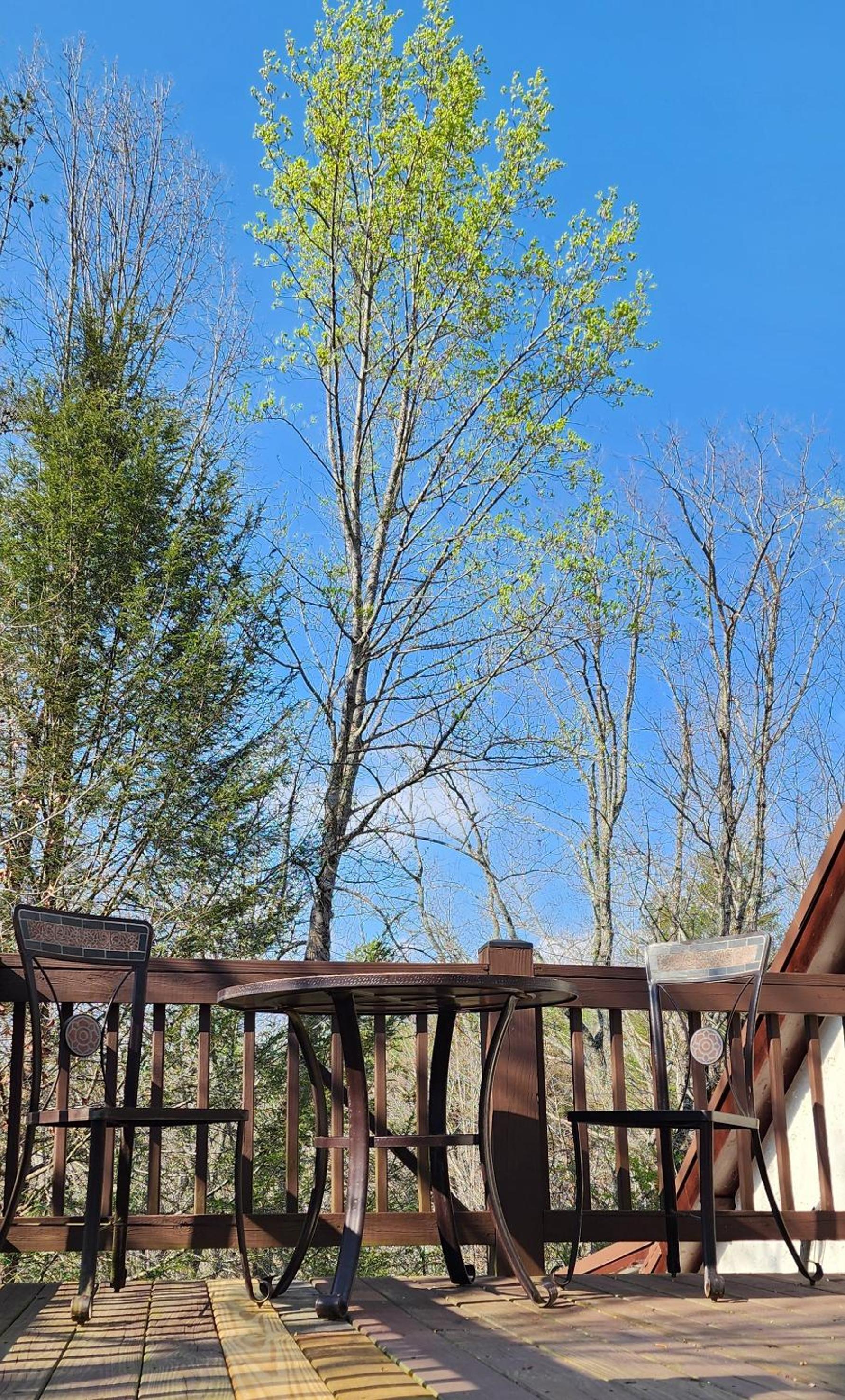 Lily Creek Lodge photo 22