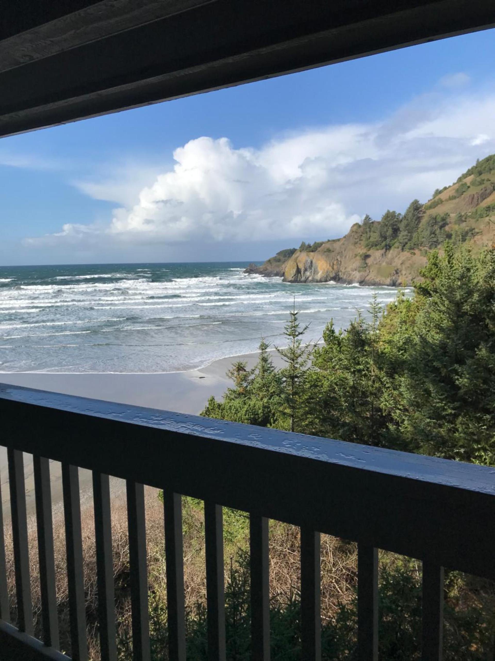 Starfish Point photo 34