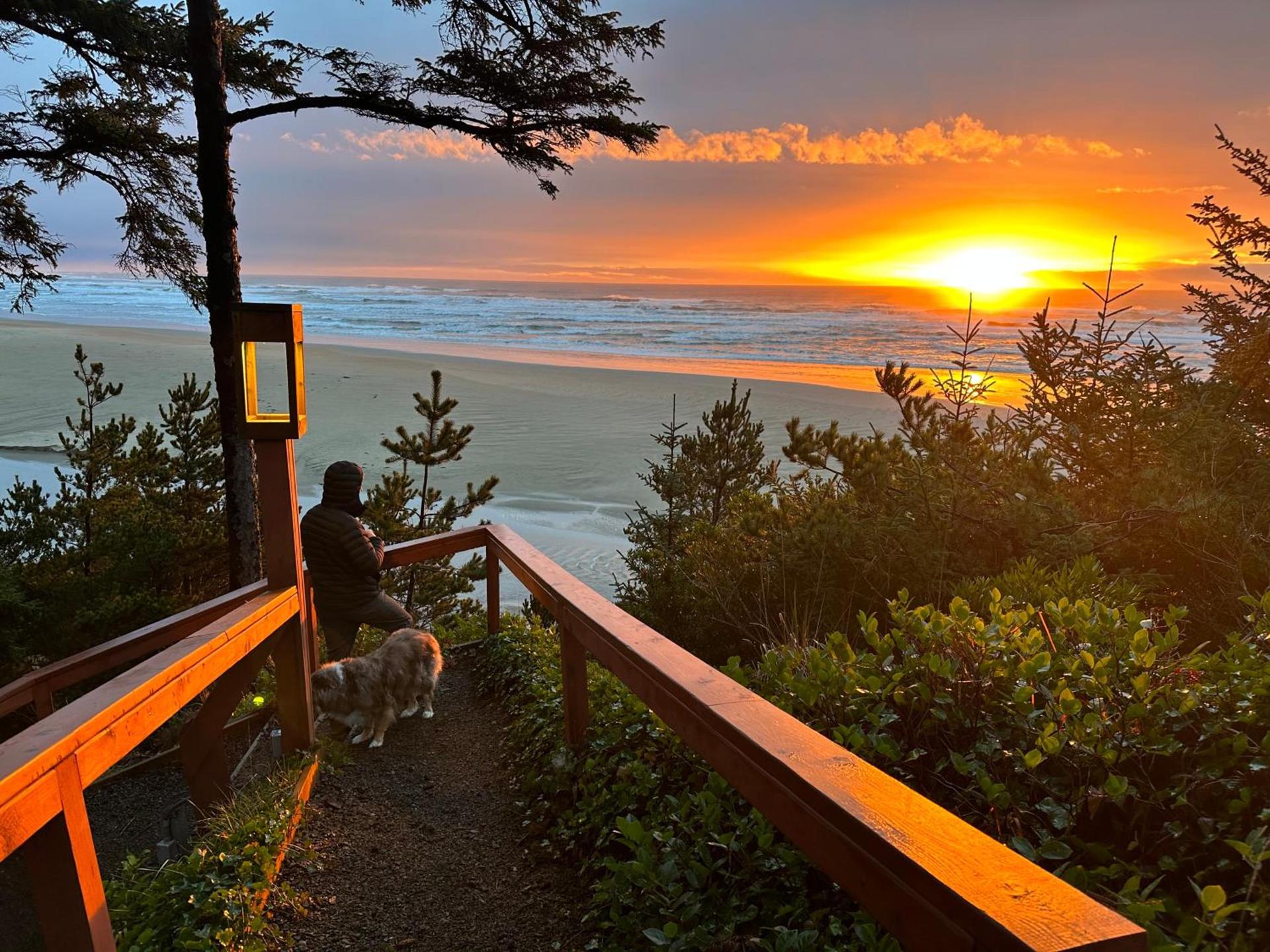 Starfish Point photo 6