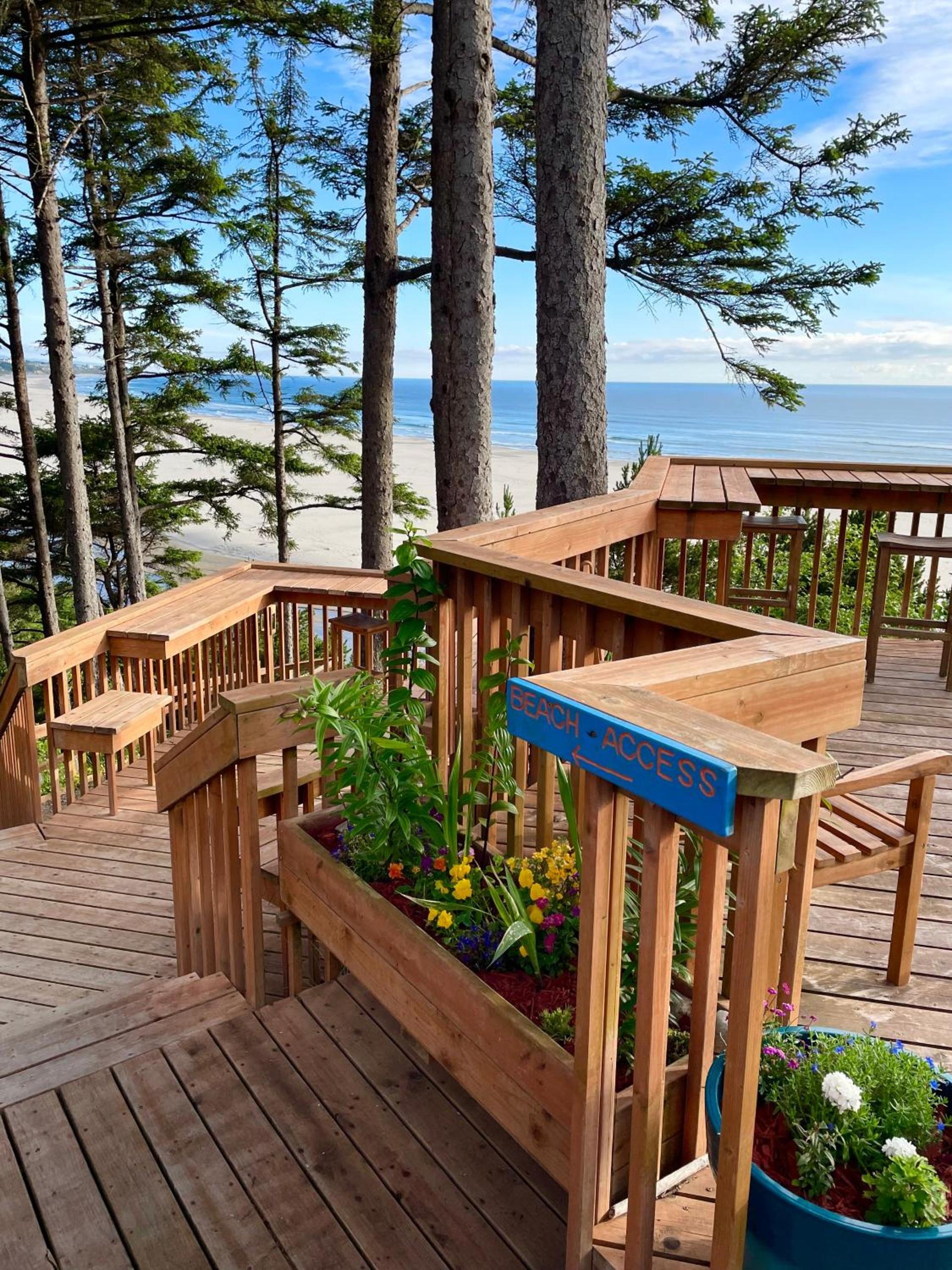 Starfish Point photo 5
