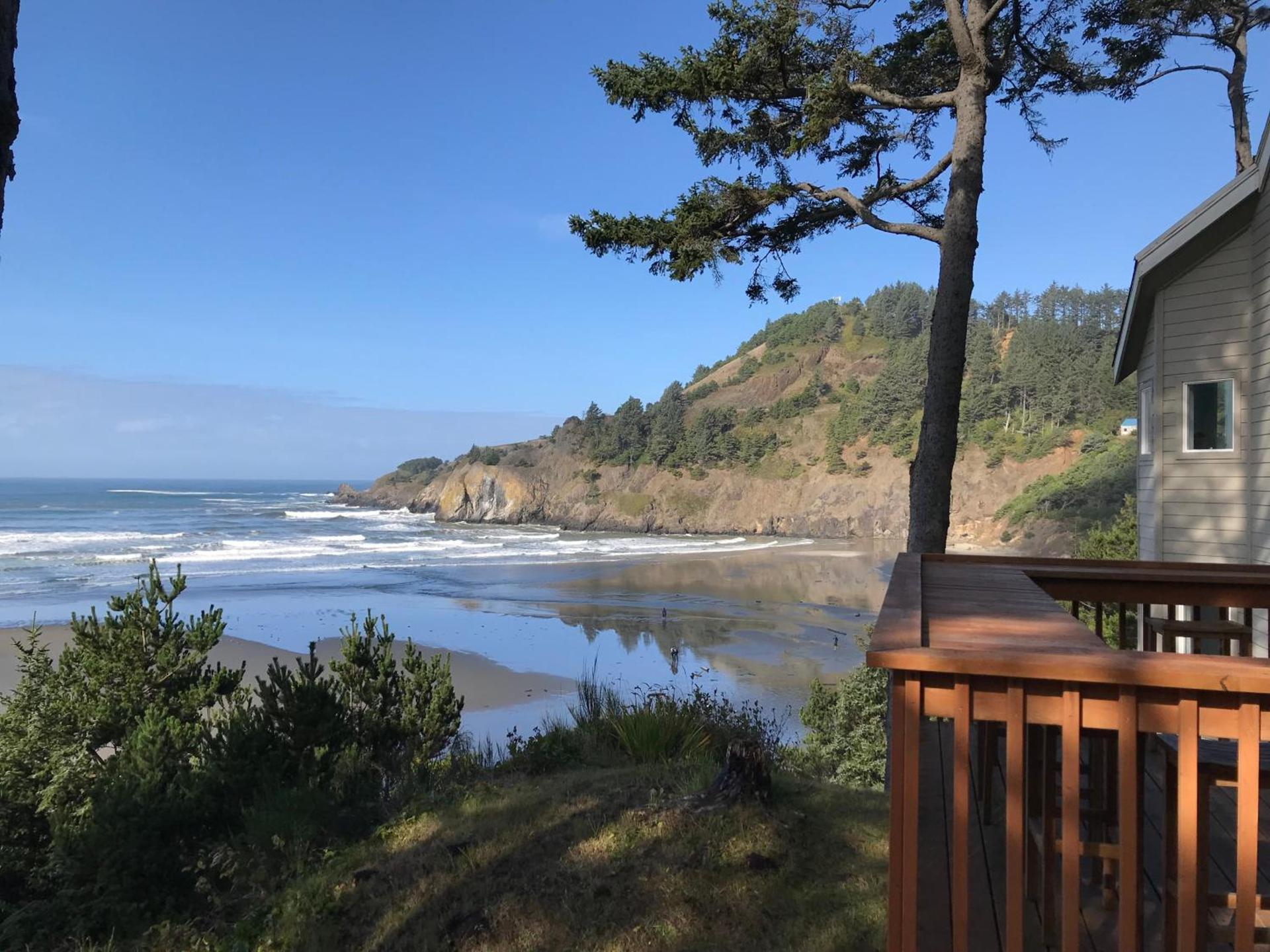 Starfish Point photo 3