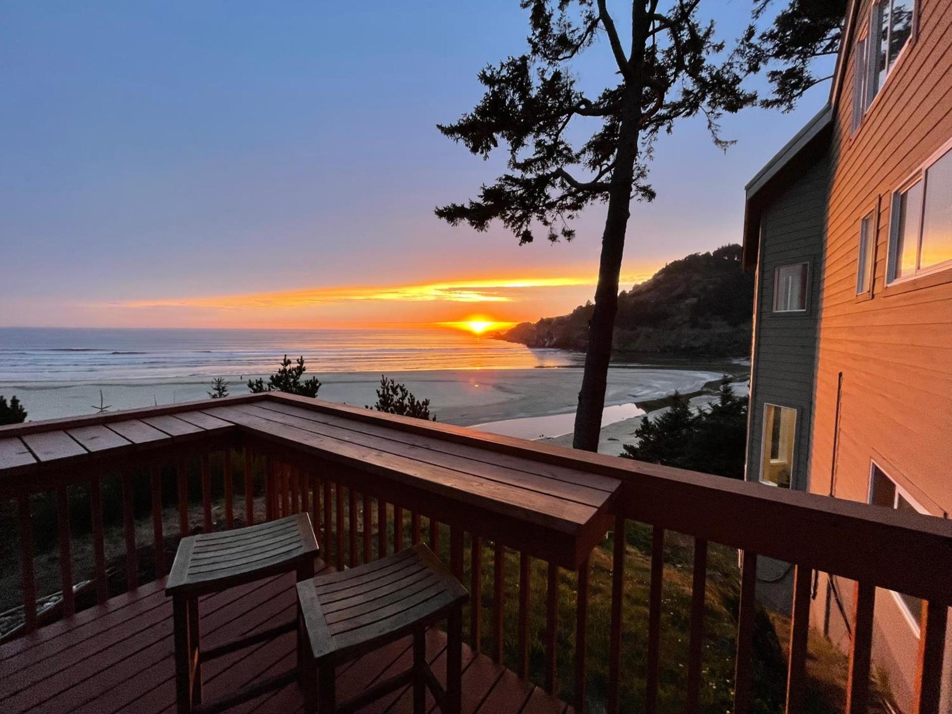 Starfish Point photo 4