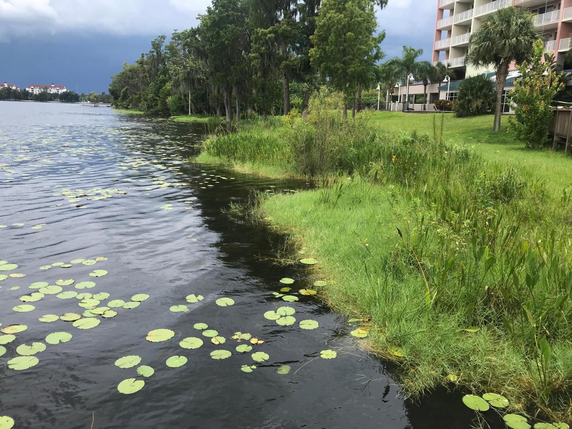 Blue Heron Beach Resort pet friendly photo 25