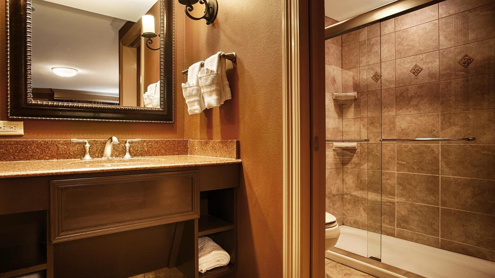 Best Western Plus French Quarter Courtyard Hotel photo 37