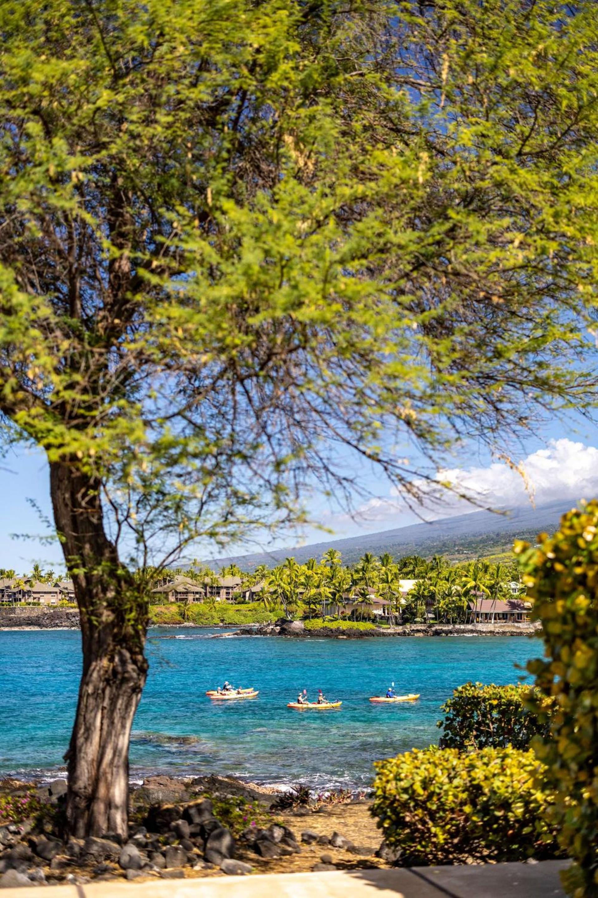 OUTRIGGER Kona Resort and Spa photo 32