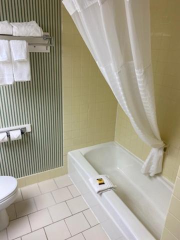 Barclay Hotel Atlanta Downtown photo 6