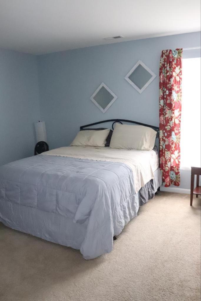 Safari Rooms photo 13