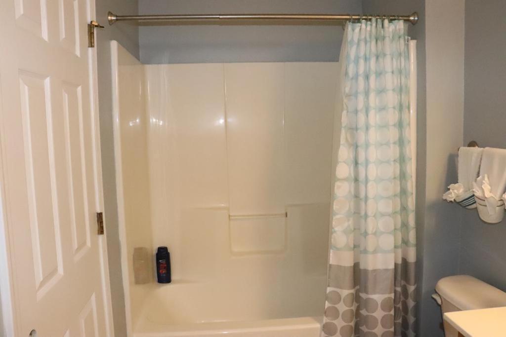 Safari Rooms photo 4