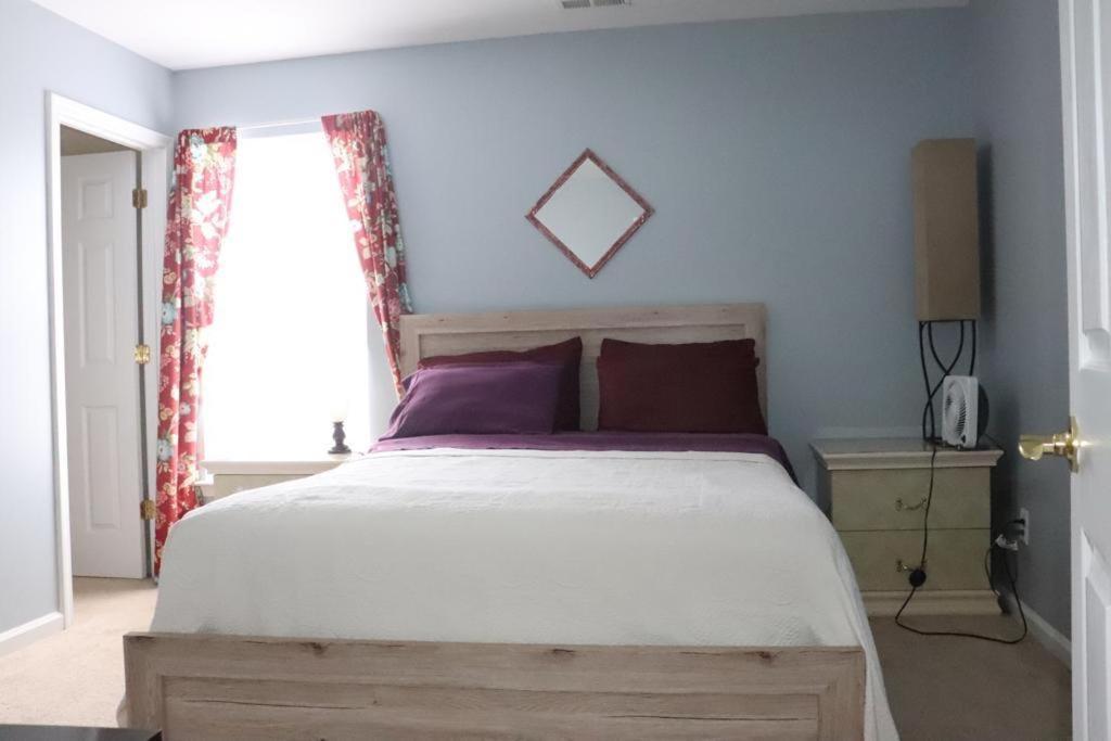 Safari Rooms photo 16