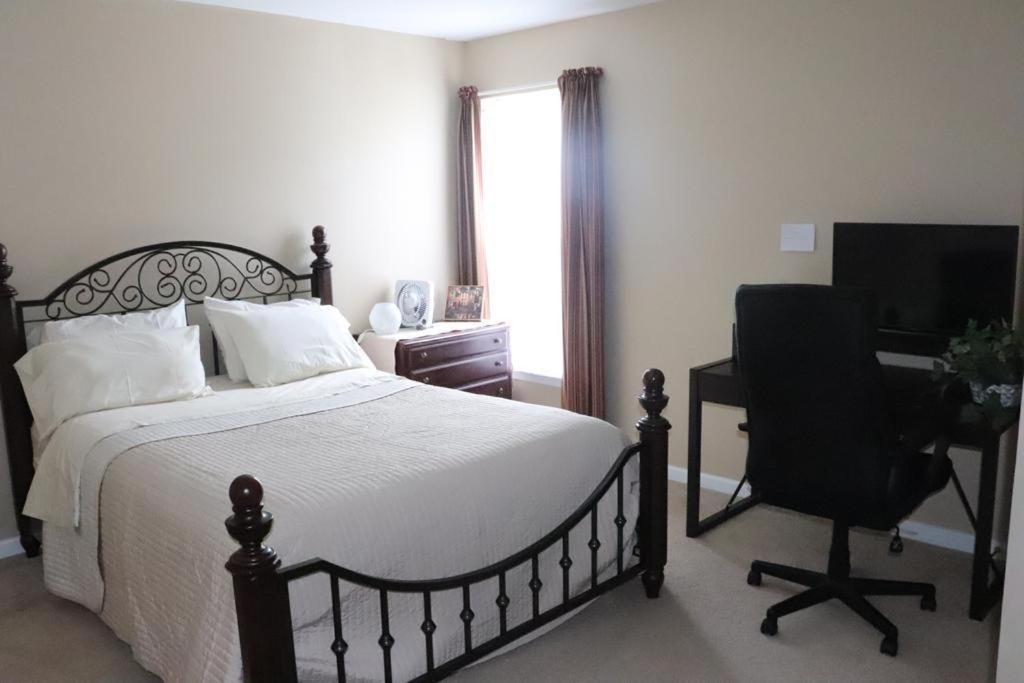 Safari Rooms photo 3