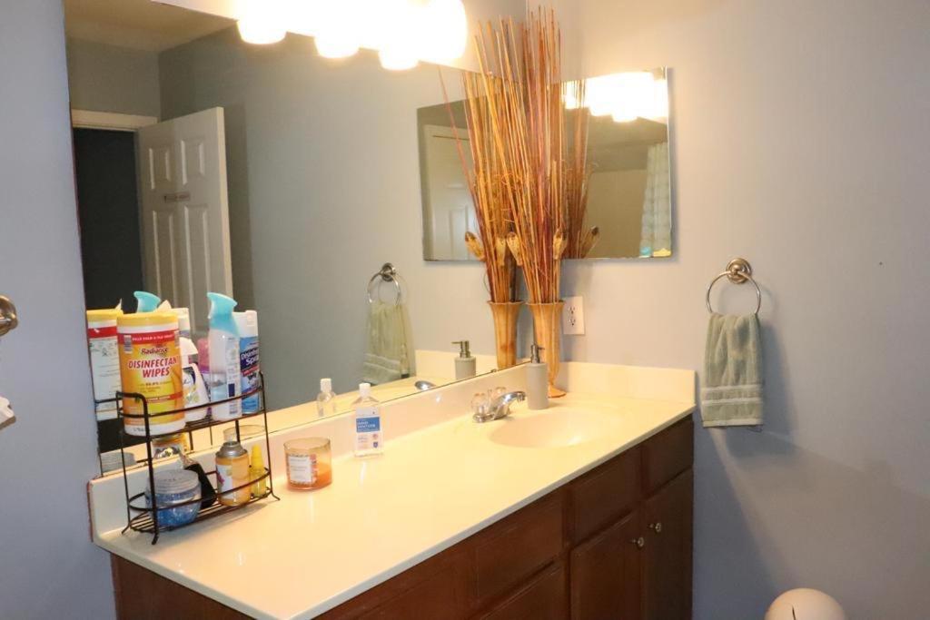 Safari Rooms photo 5