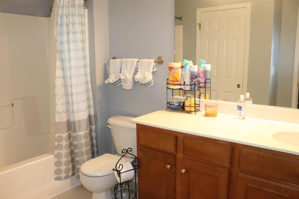 Safari Rooms photo 12