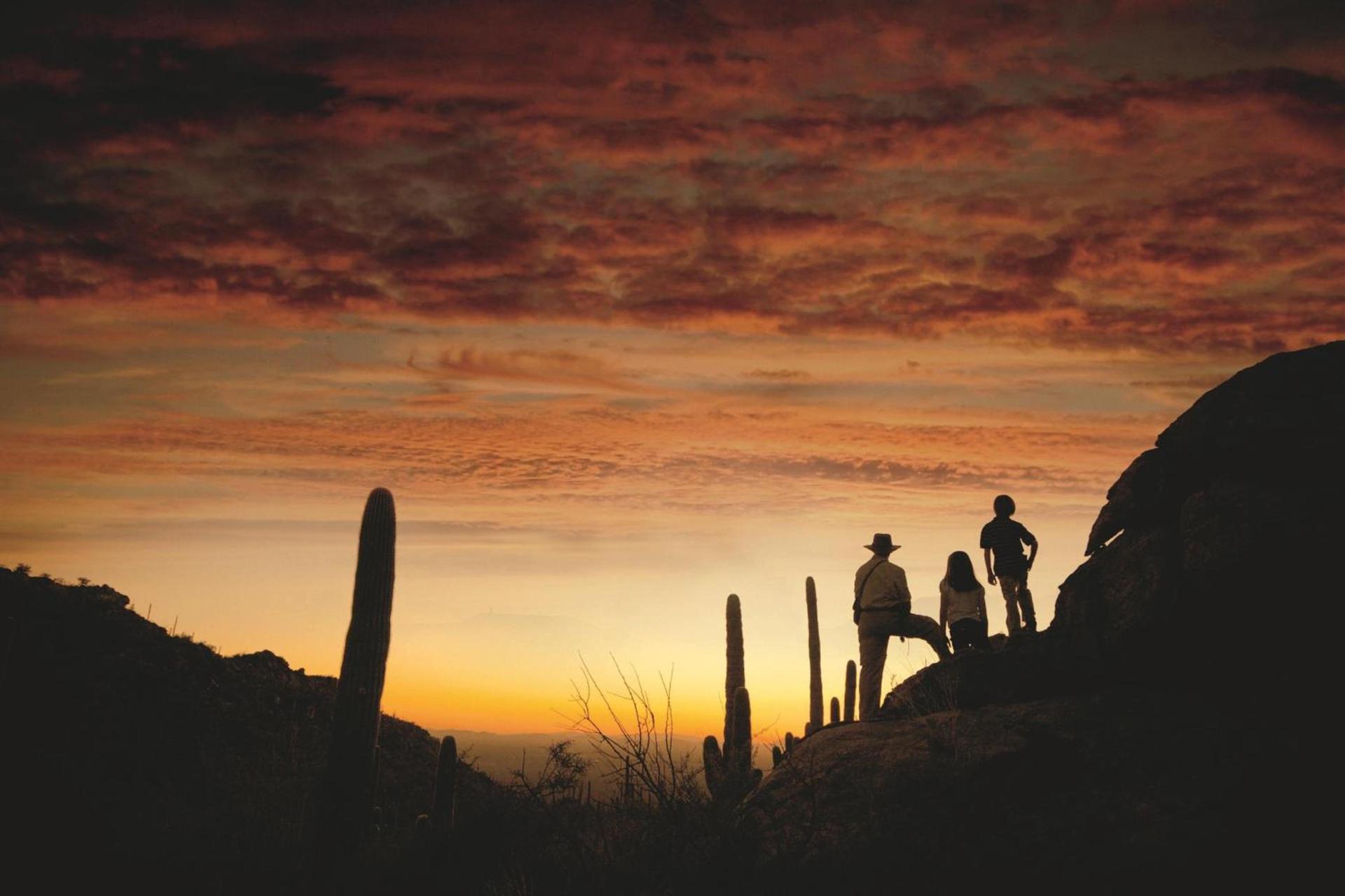 The Ritz-Carlton, Dove Mountain photo 25