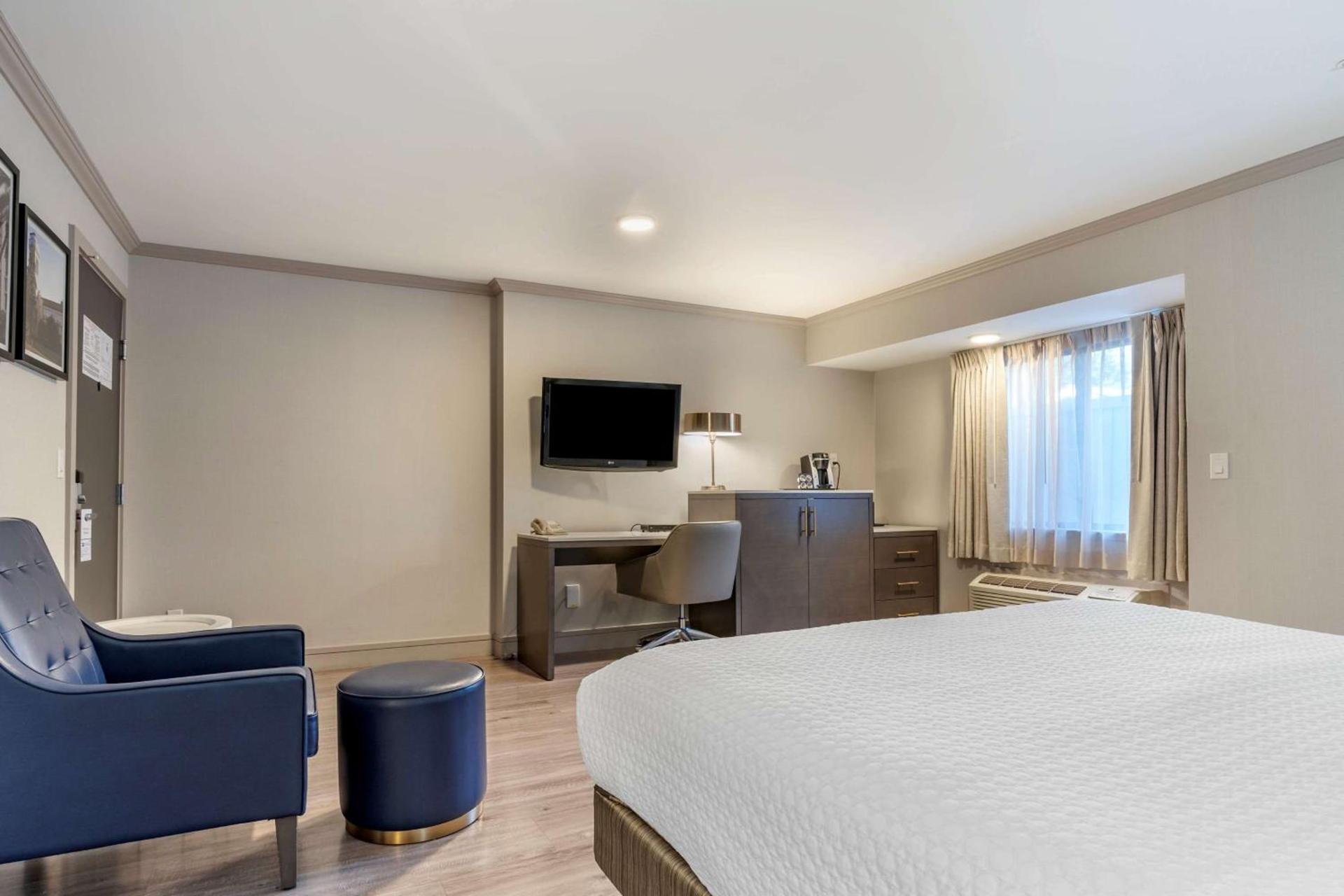 Best Western Plus Executive Suites photo 15